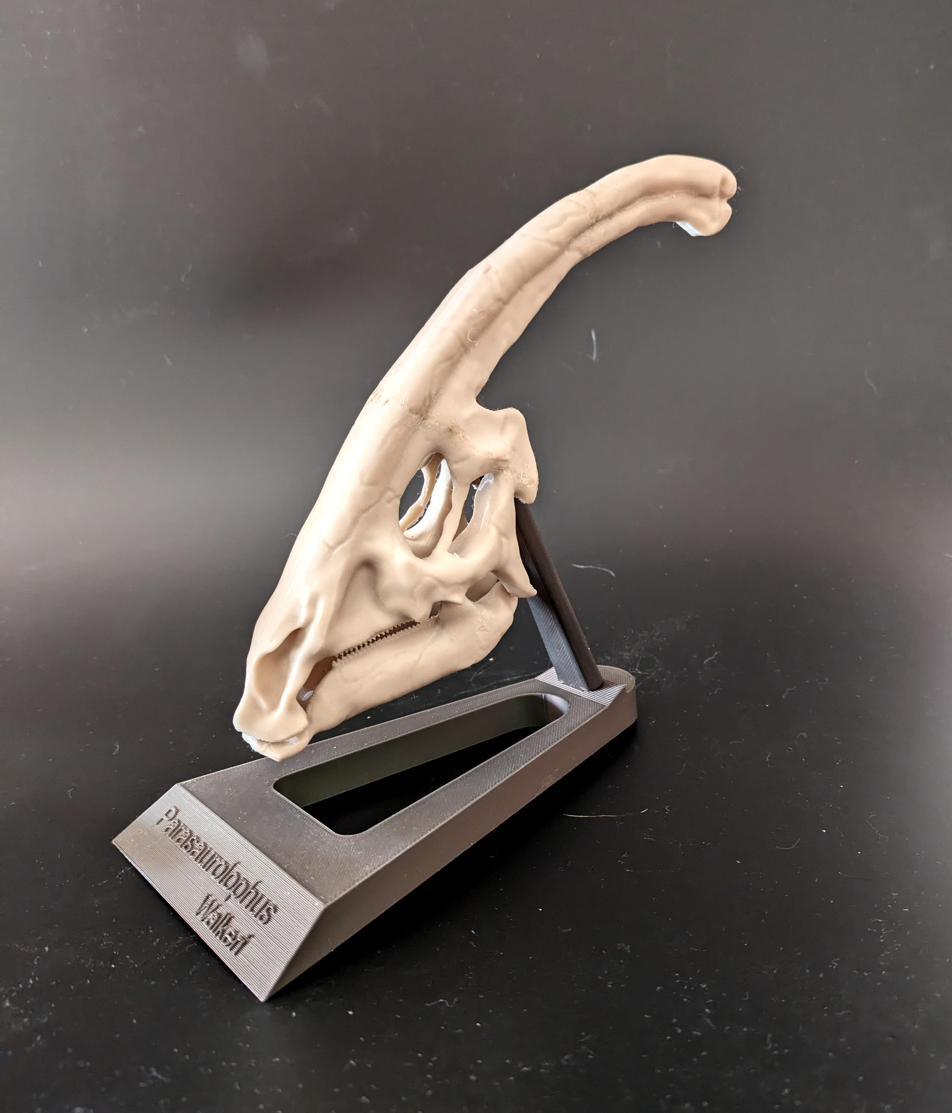 stand for parasaurolophus model