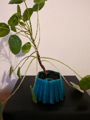 Self watering planter