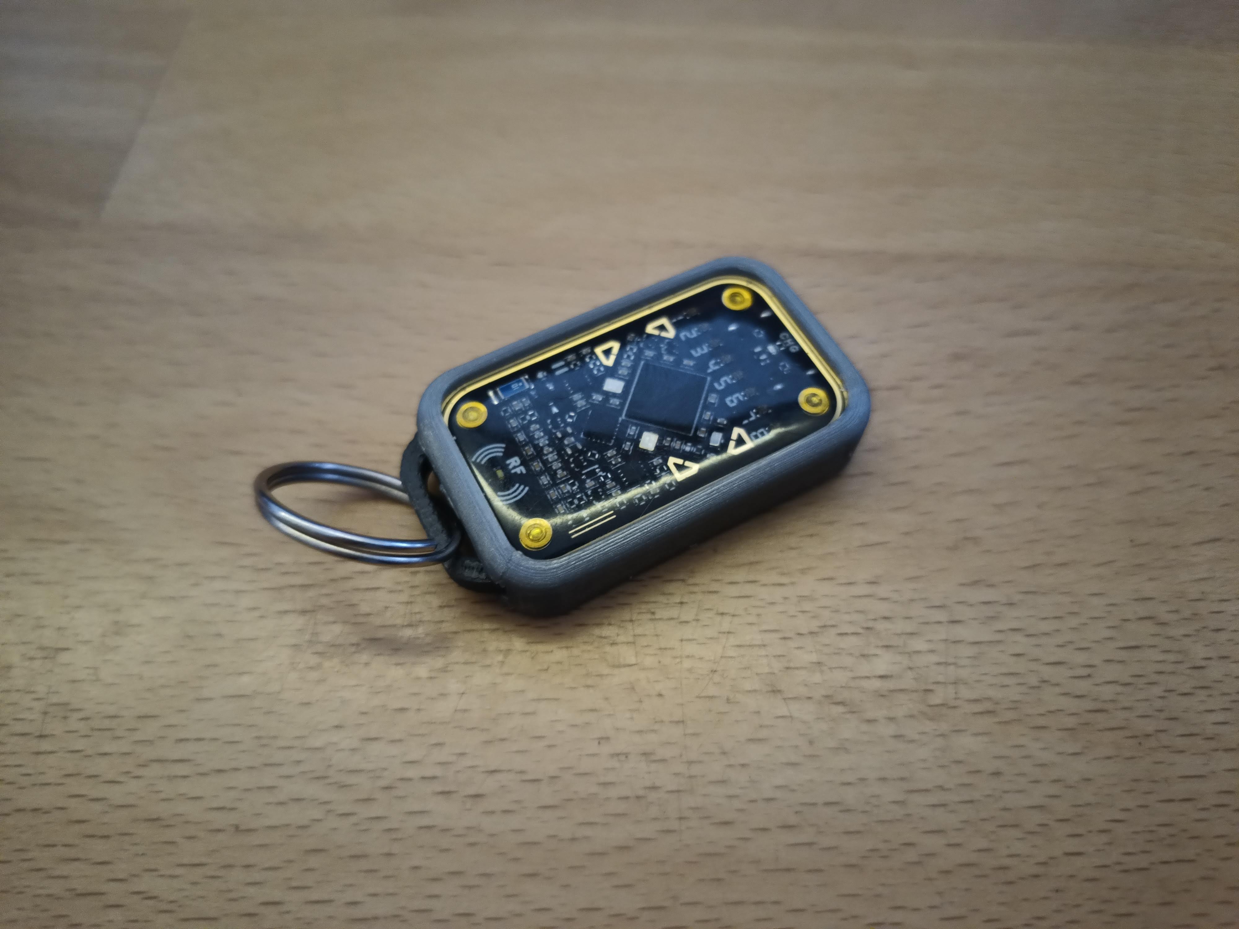 Chameleon Ultra case