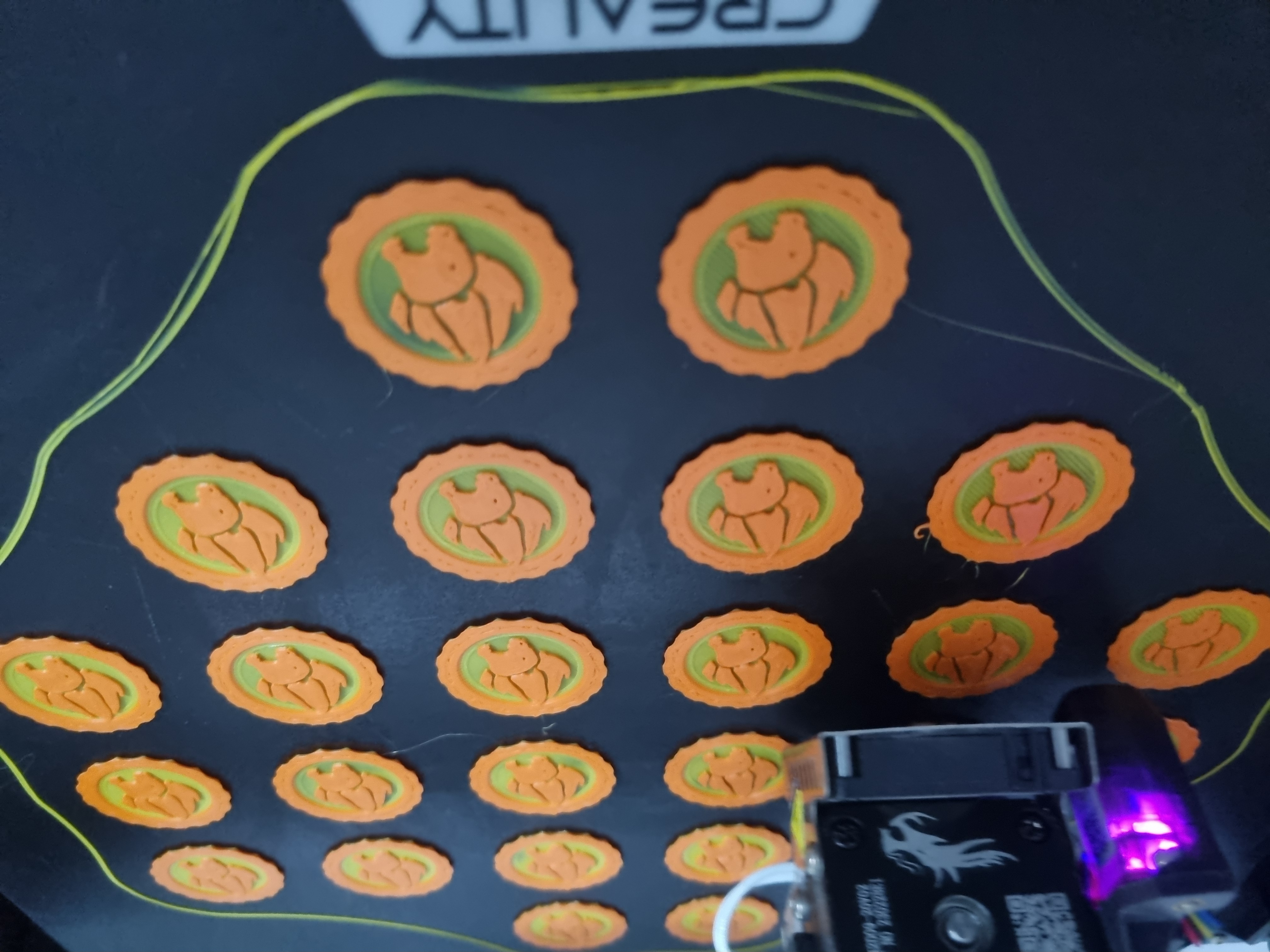 Lion Guard Disc