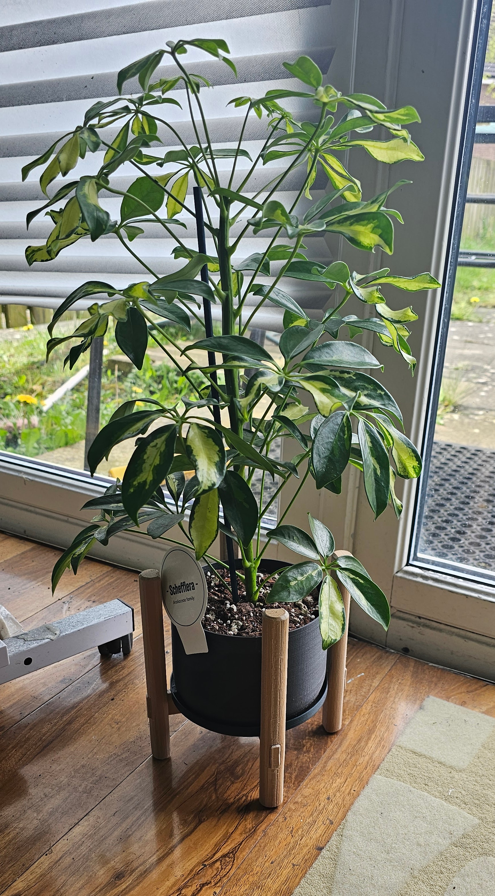 Mid century planter