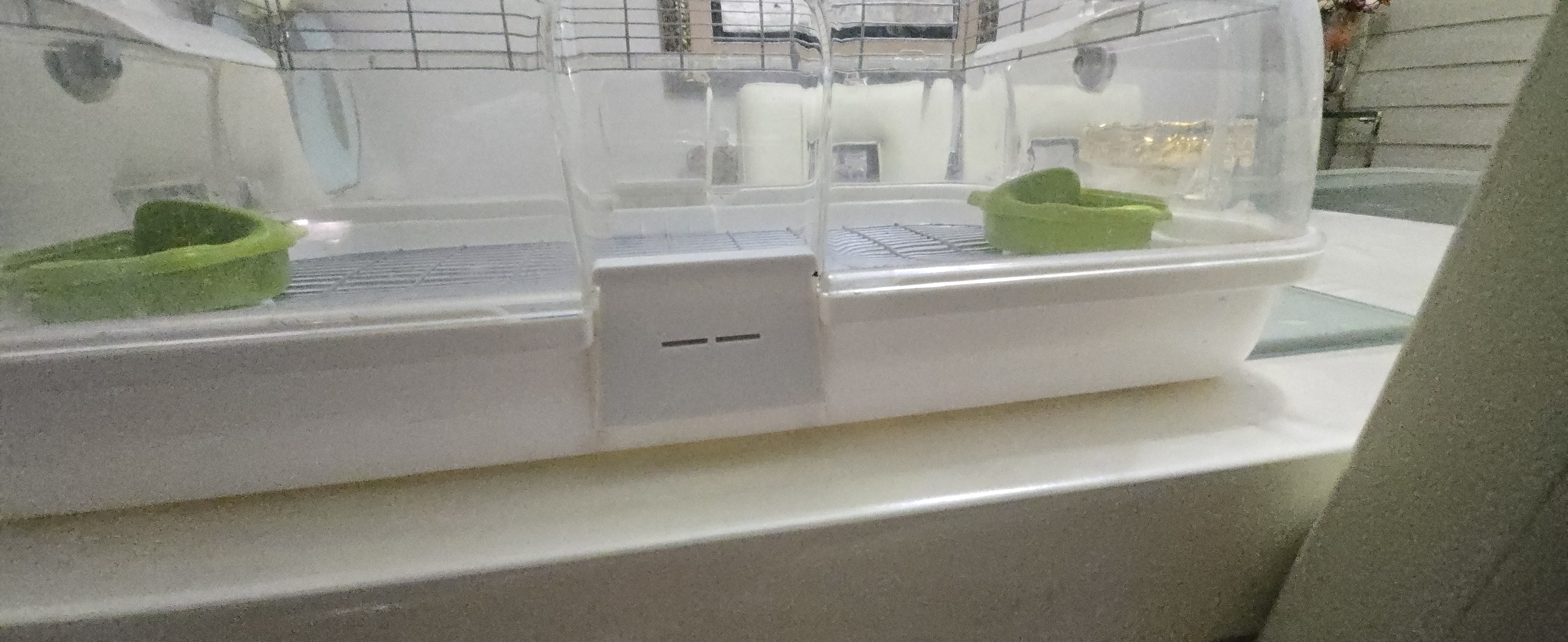 Miniatura 2 do modelo 3D Vision Bird Cage Latch