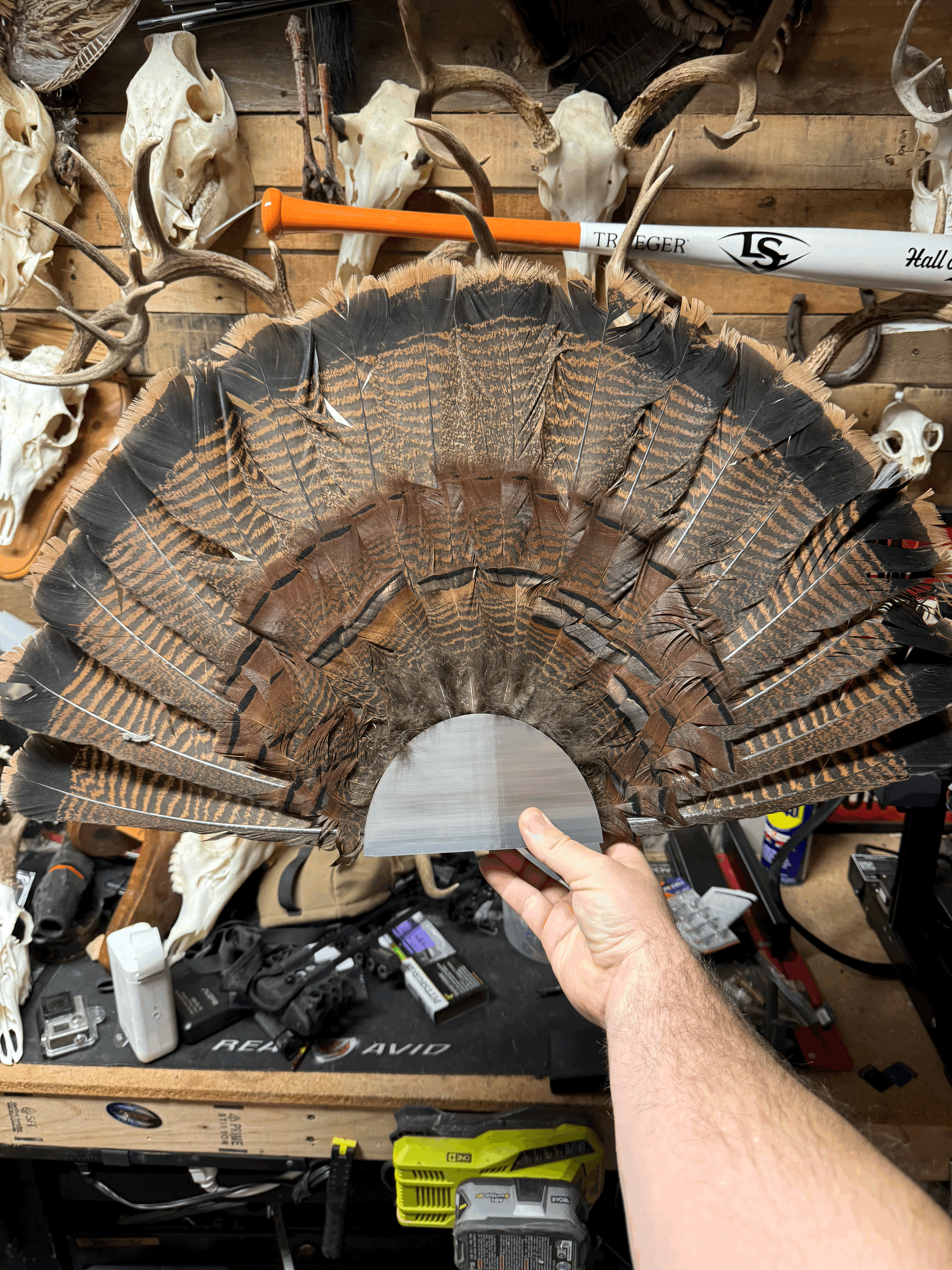 tempimagesputyk turkey fan tail wall mountbowlfrogg | download free stl model