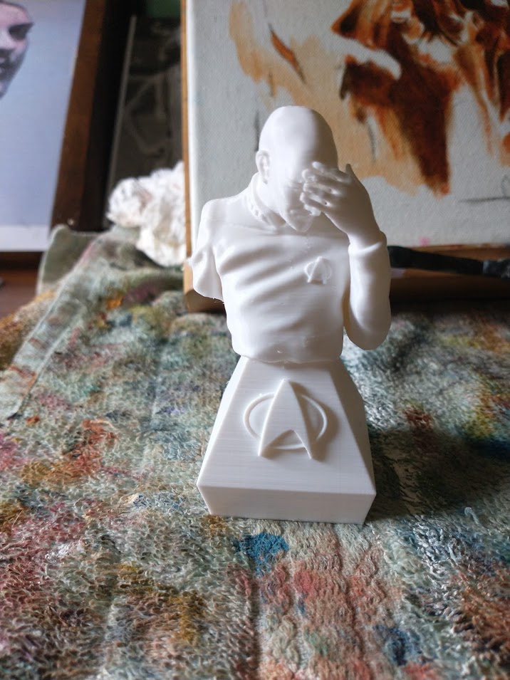 Picard Facepalm by dkshepp | Download free STL model | Printables.com