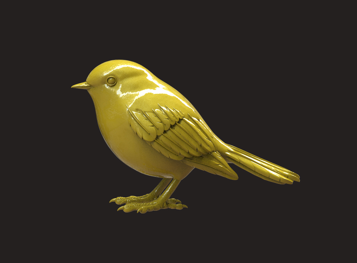 Bird — thumbnail 3