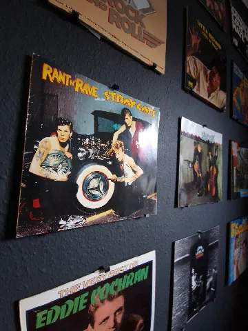 Vinyl Record Wall Mount with screws