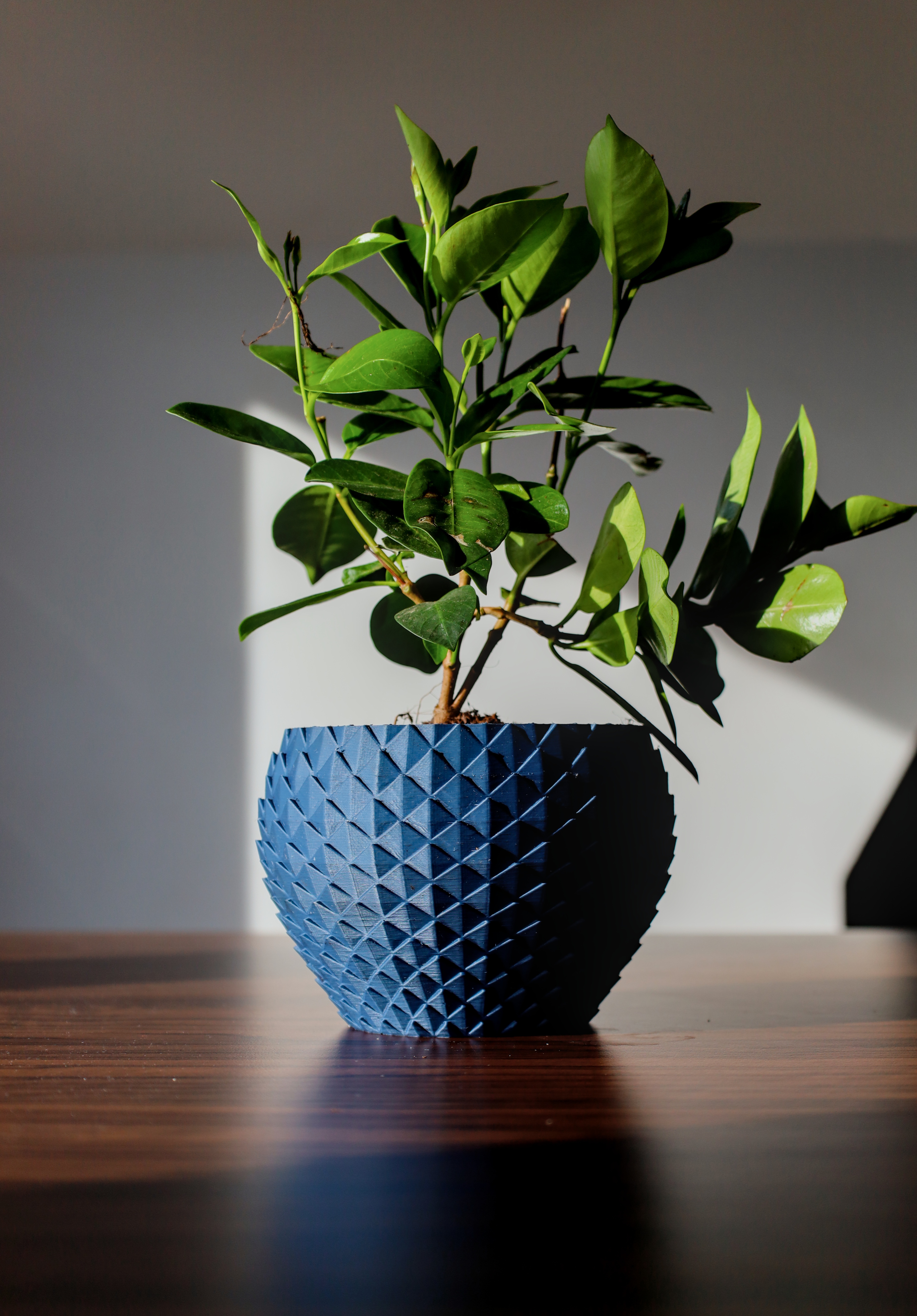 Dragon scale pot
