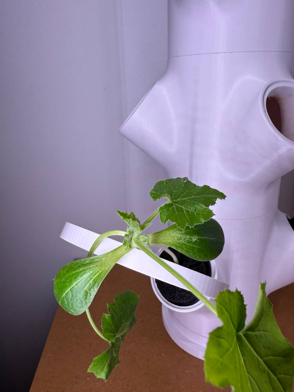 Miniatura 6 do modelo 3D smart modular hydroponic tower