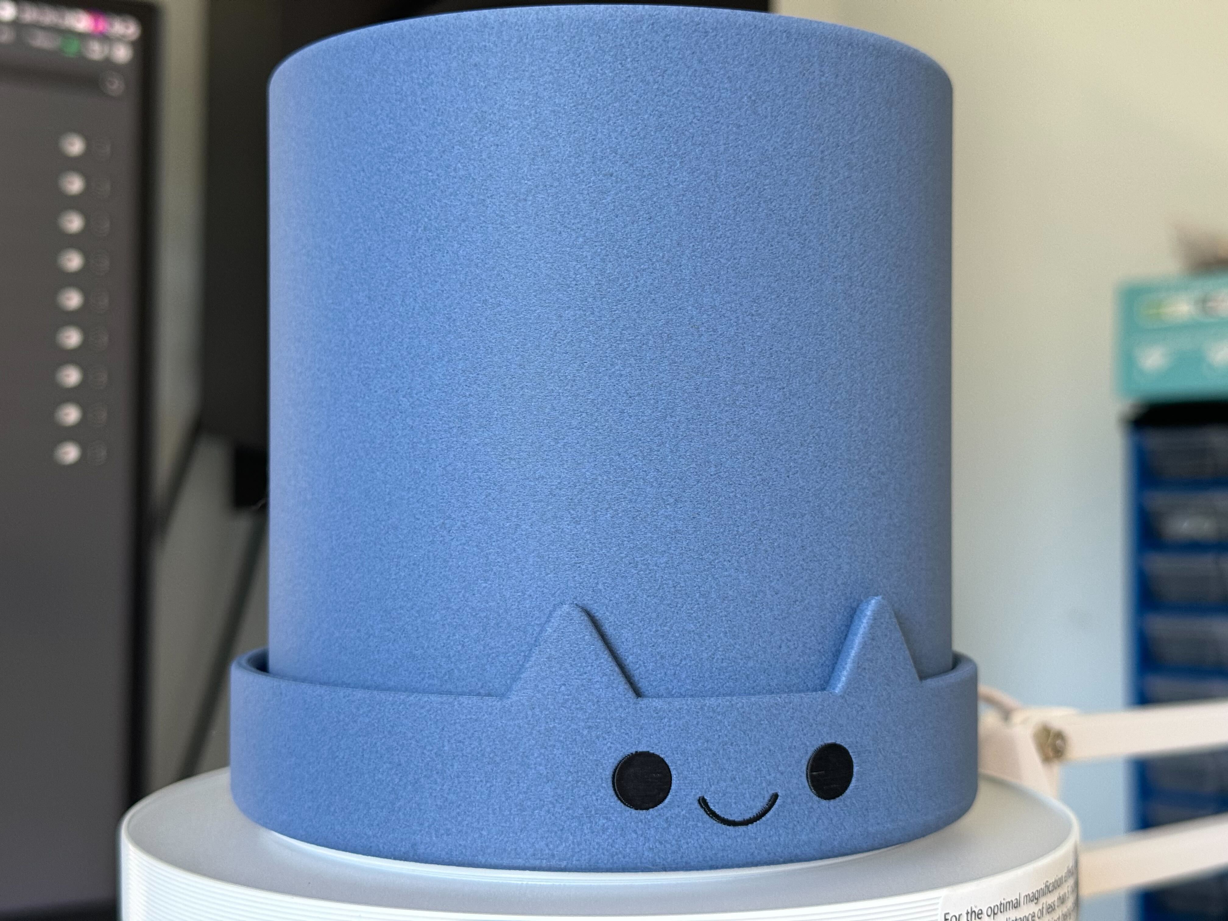 Planter with Cat Drip Tray
