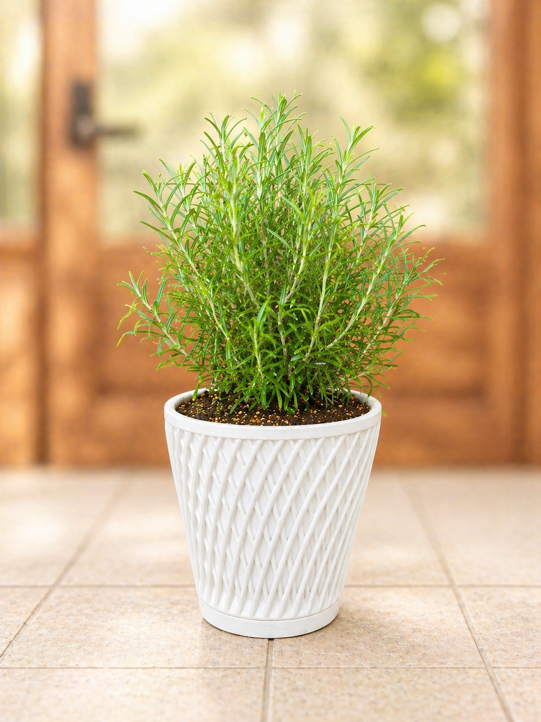 Planter