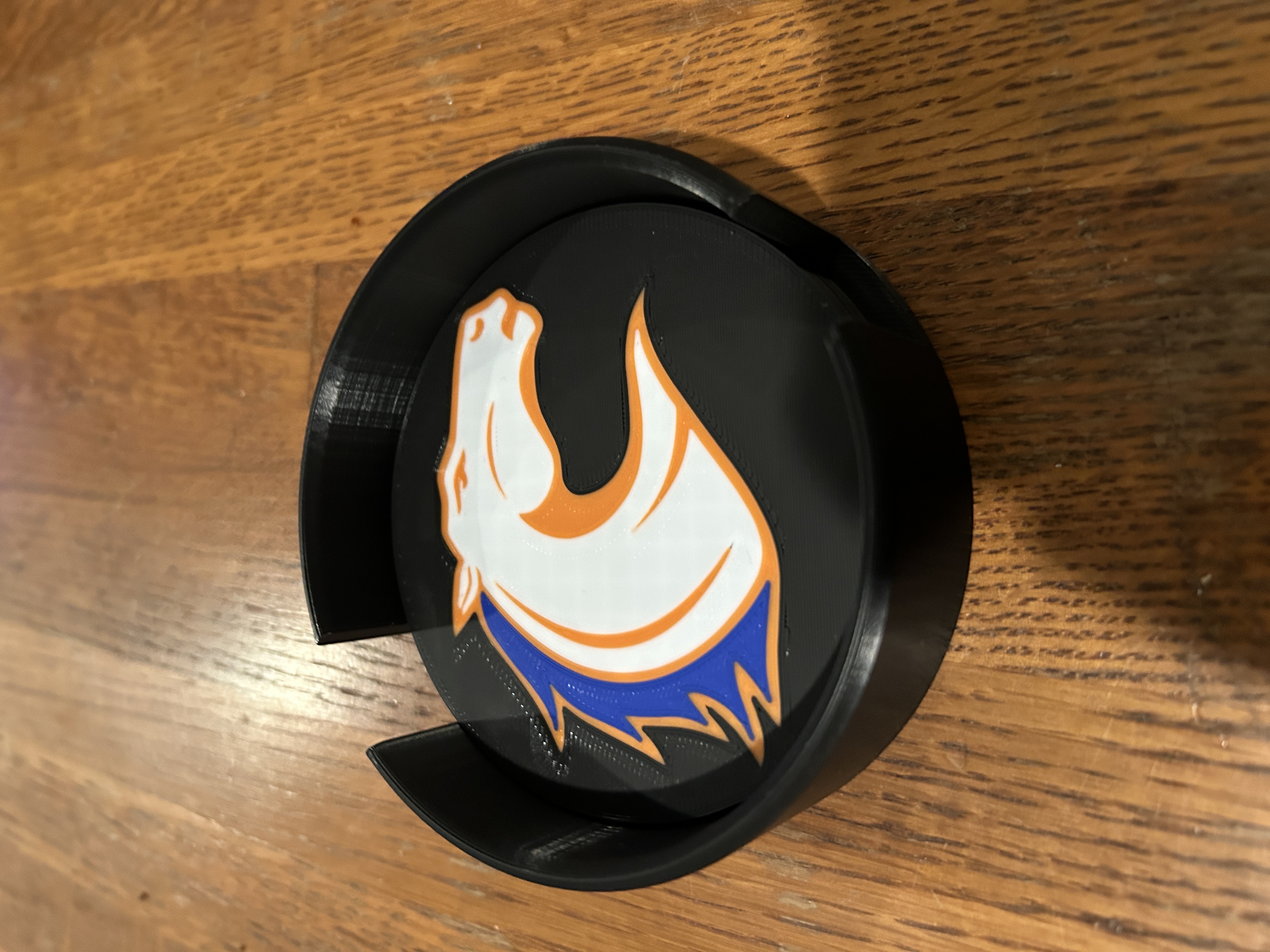 University of Texas at Arlington Coaster