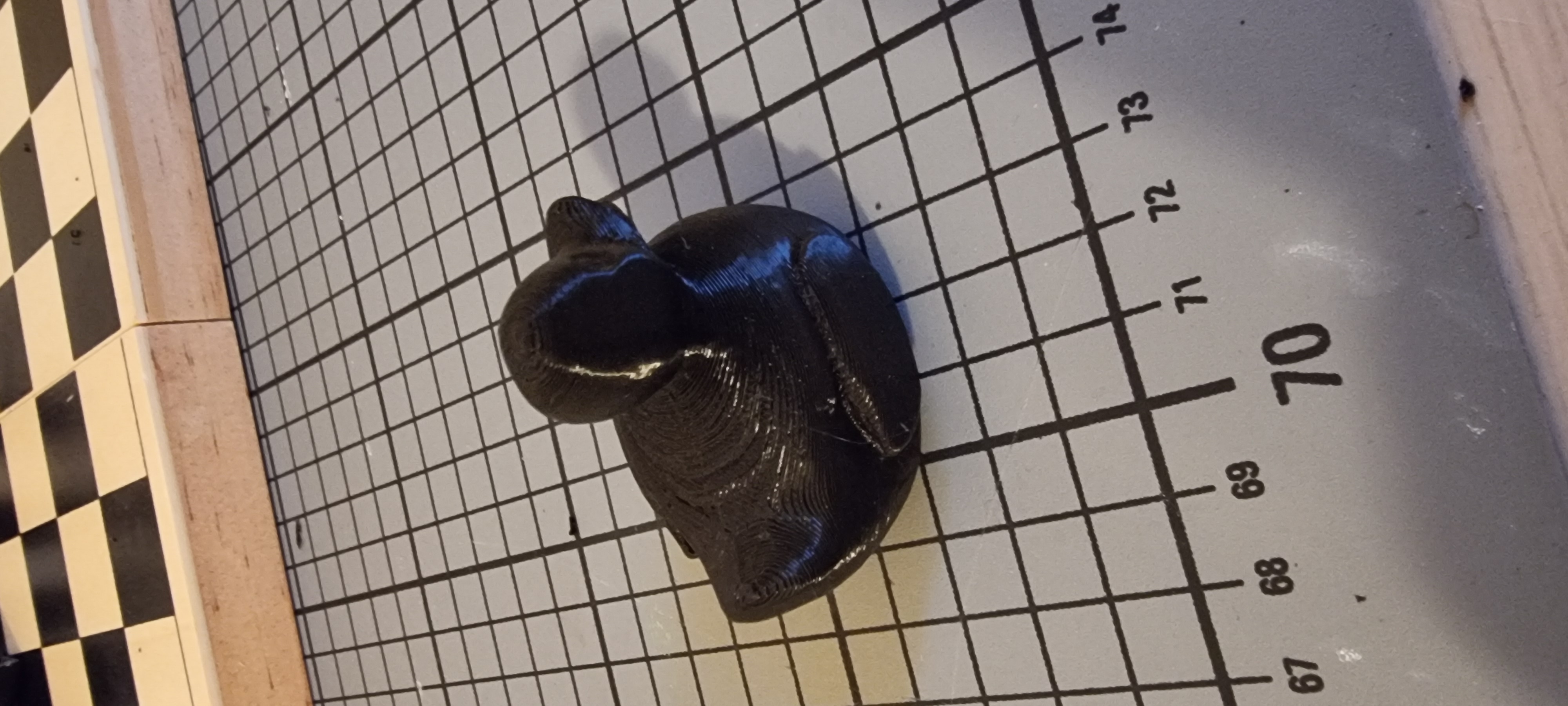 Rubber duck