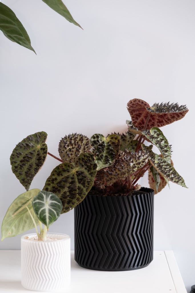 ZigZag vase mode flowerpot planter
