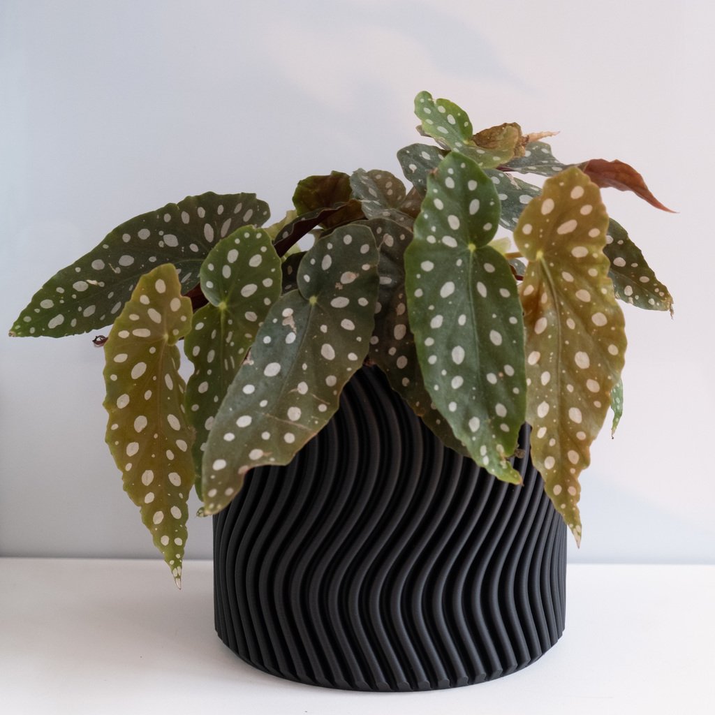 Miniatura 2 do modelo 3D WAVY vase mode flowerpot planter