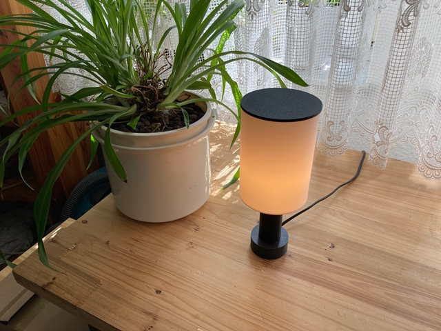 Lamp #11