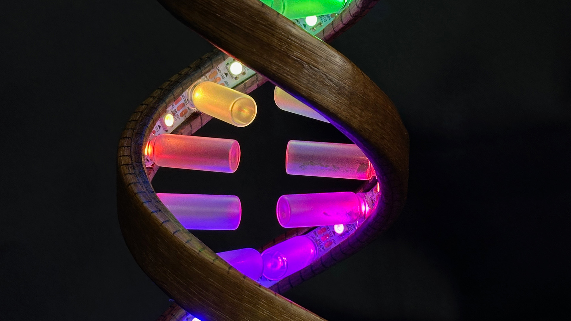 Gesture Controlled Wooden DNA Desk Lamp by Timber Rough | Download free ...