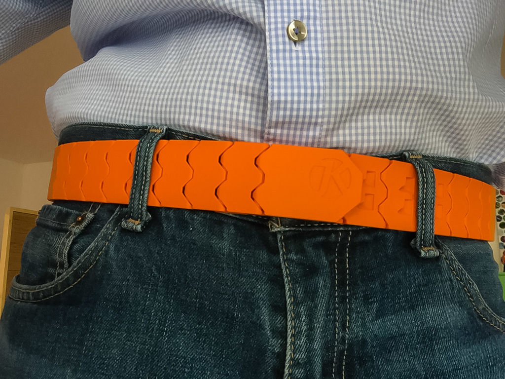 3DWatsch's print in place BELT