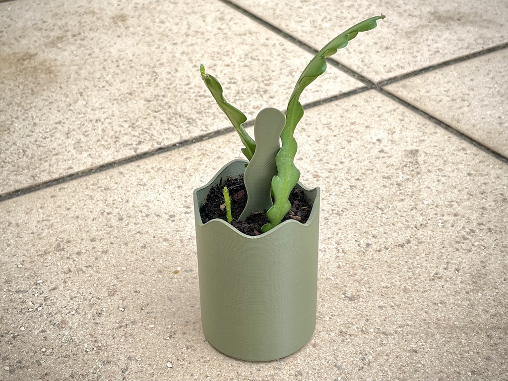 zigzag cactus planter