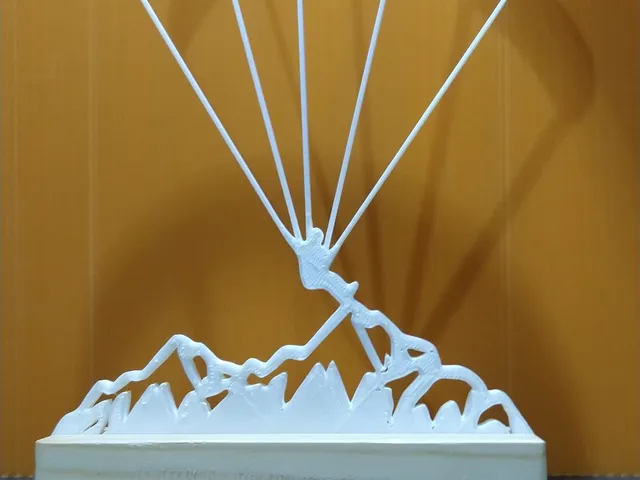 paraglider