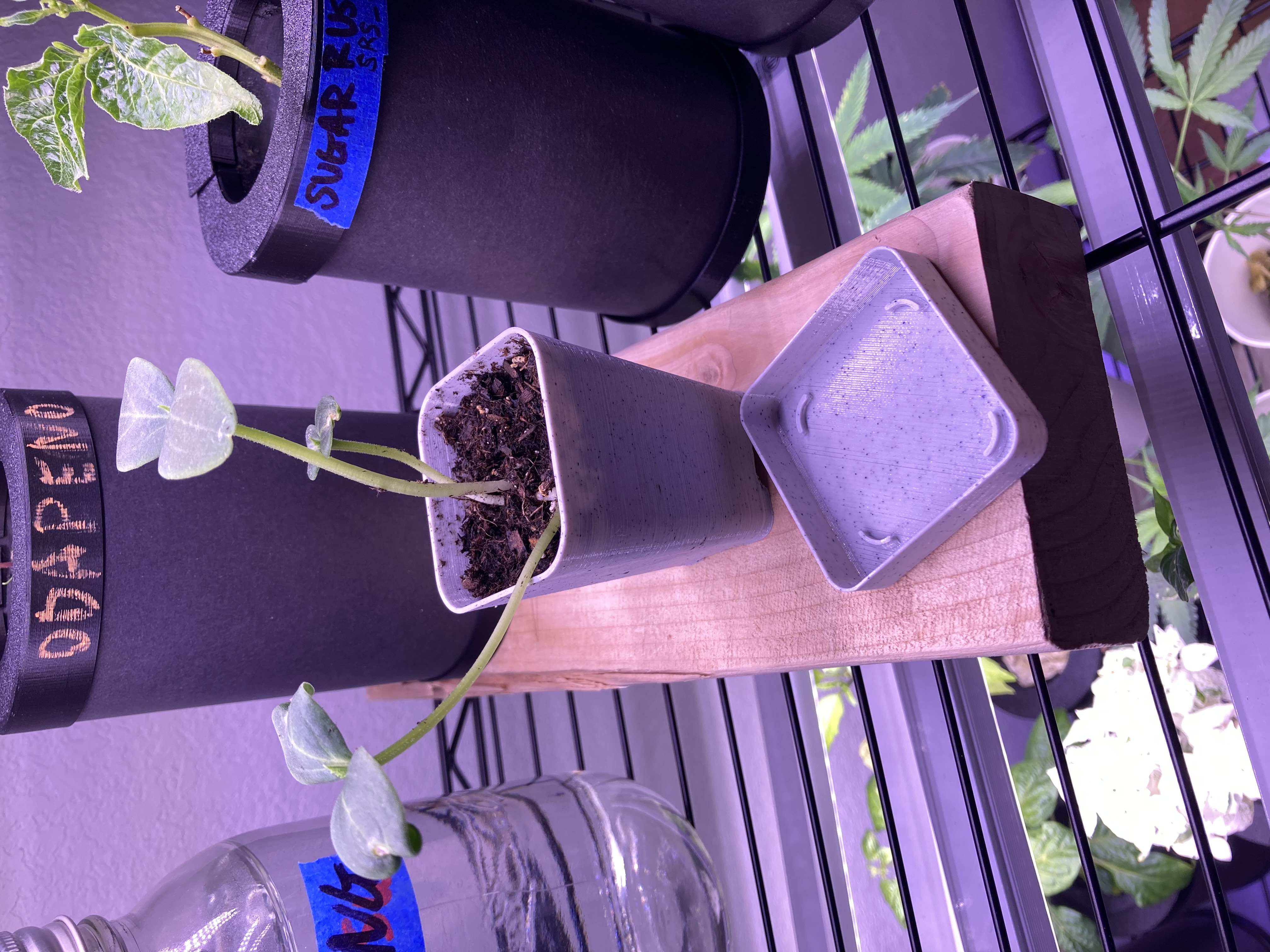 Drip Tray for SuddenD Seeding Pot