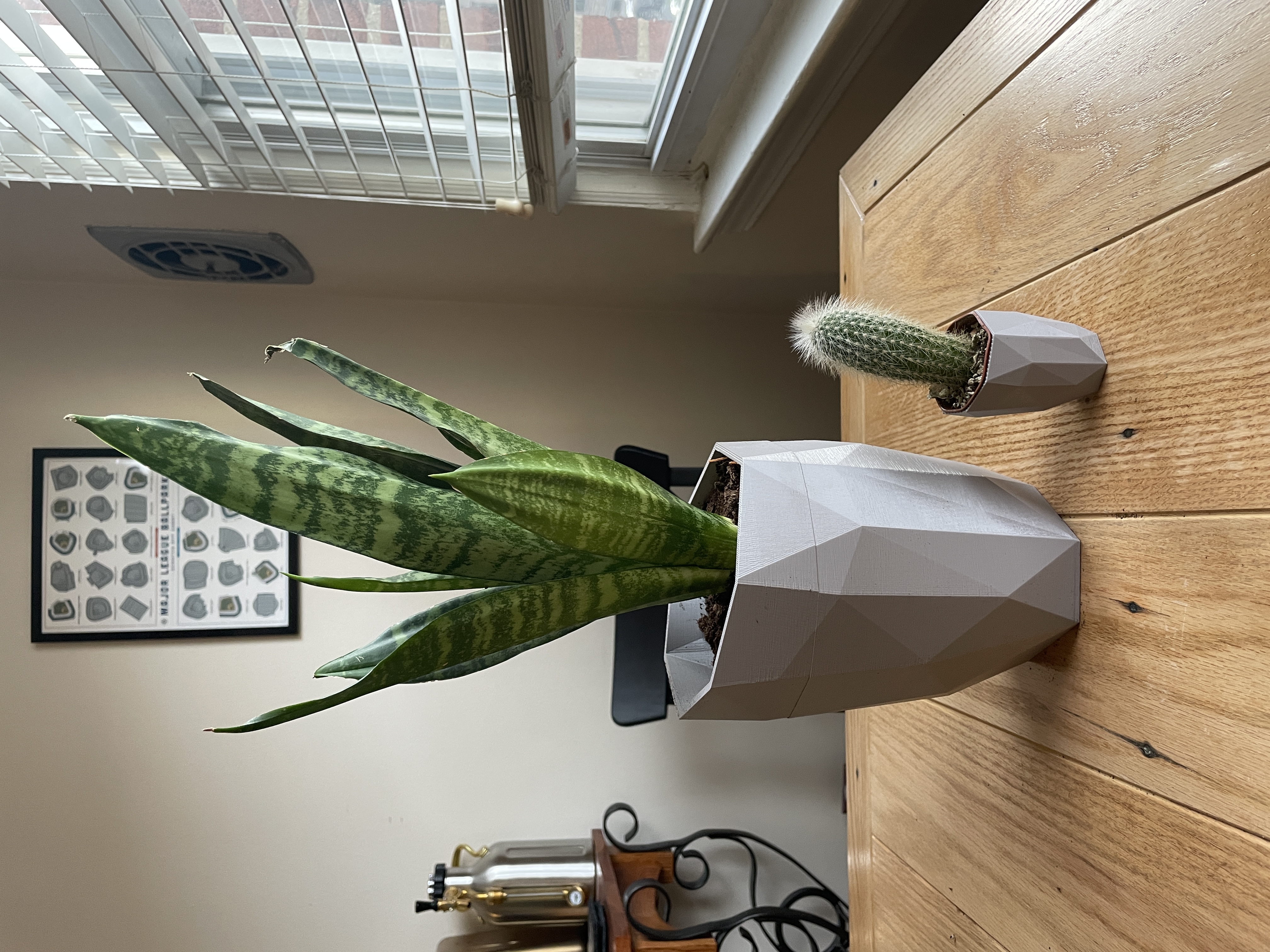 Miniatura 2 do modelo 3D Low Poly Planter
