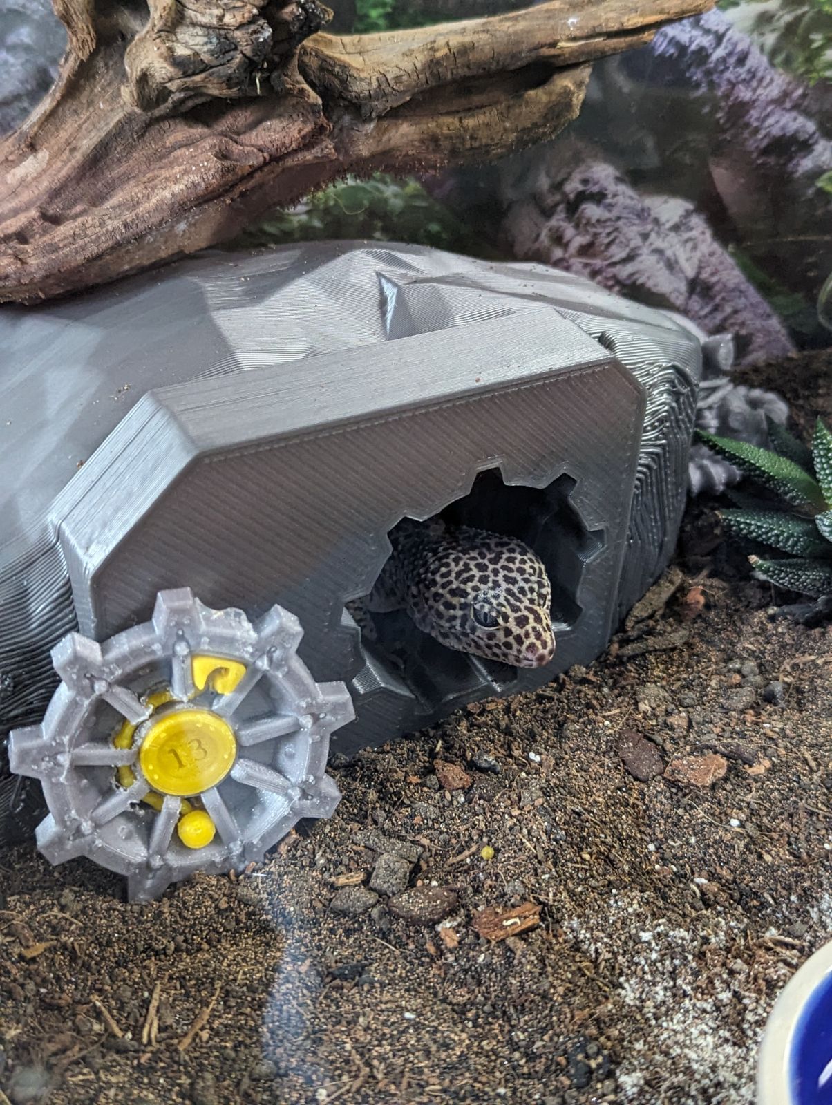Fallout Vault Critter Cave