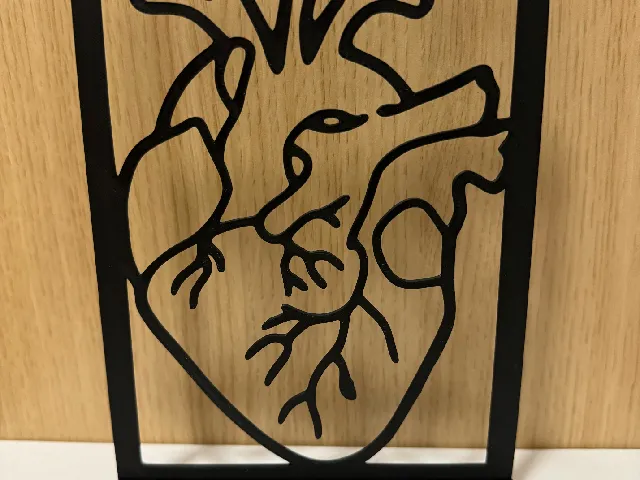 Heart