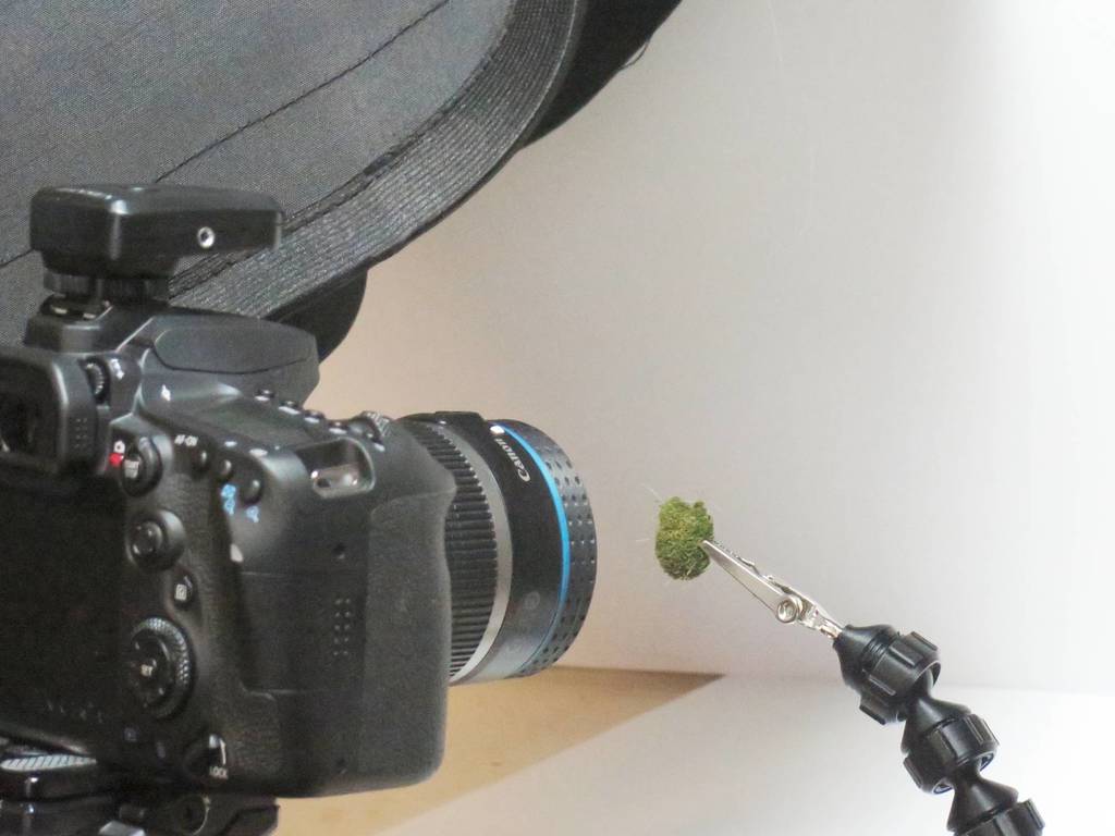 Specimen/subject holder for macro photography by Dingolingo Download