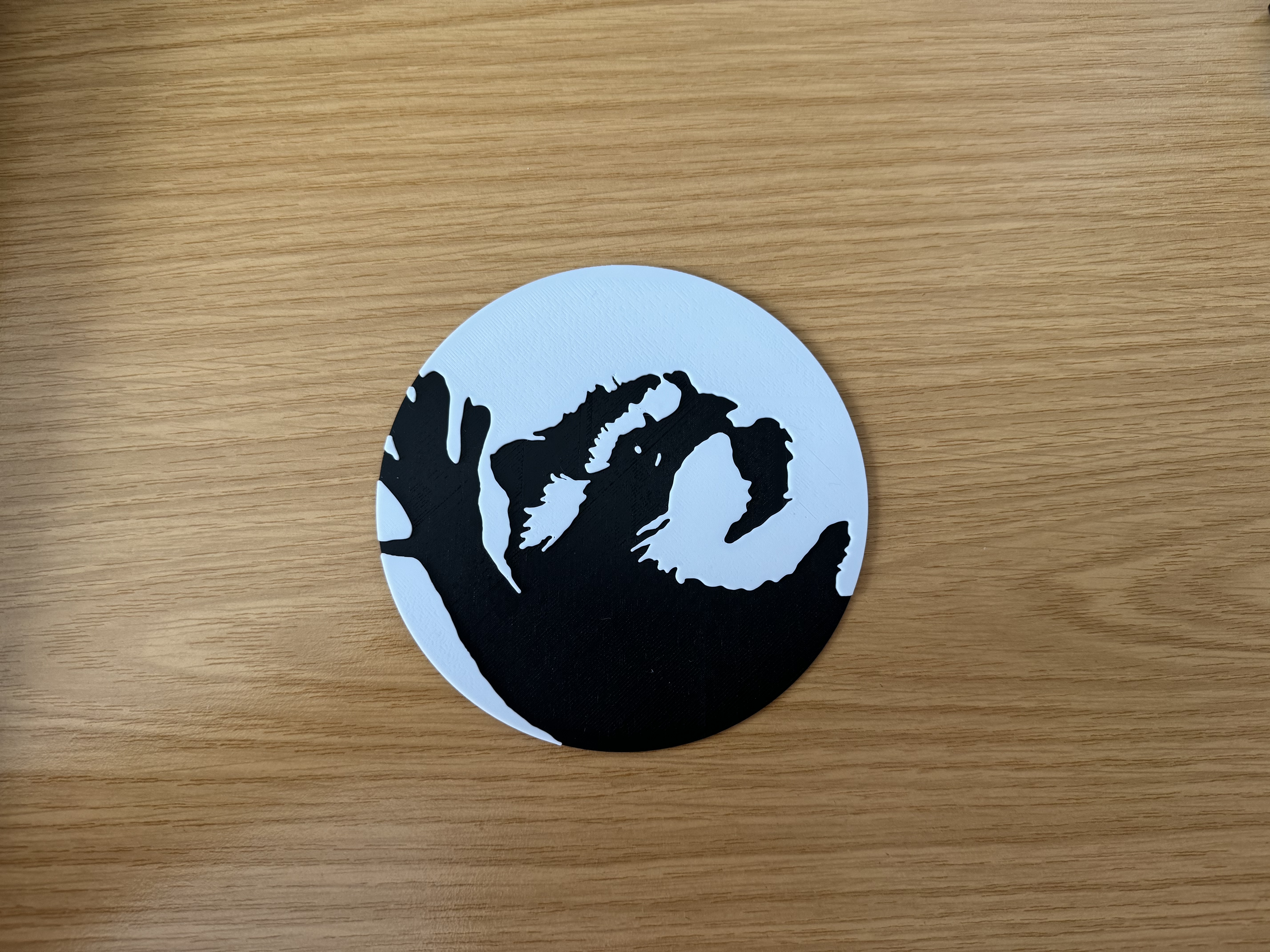 Pedro Racoon 2D Plate