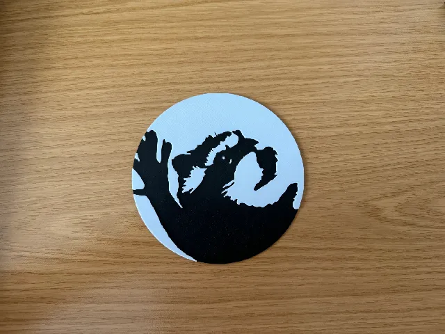 Pedro Racoon 2D Plate