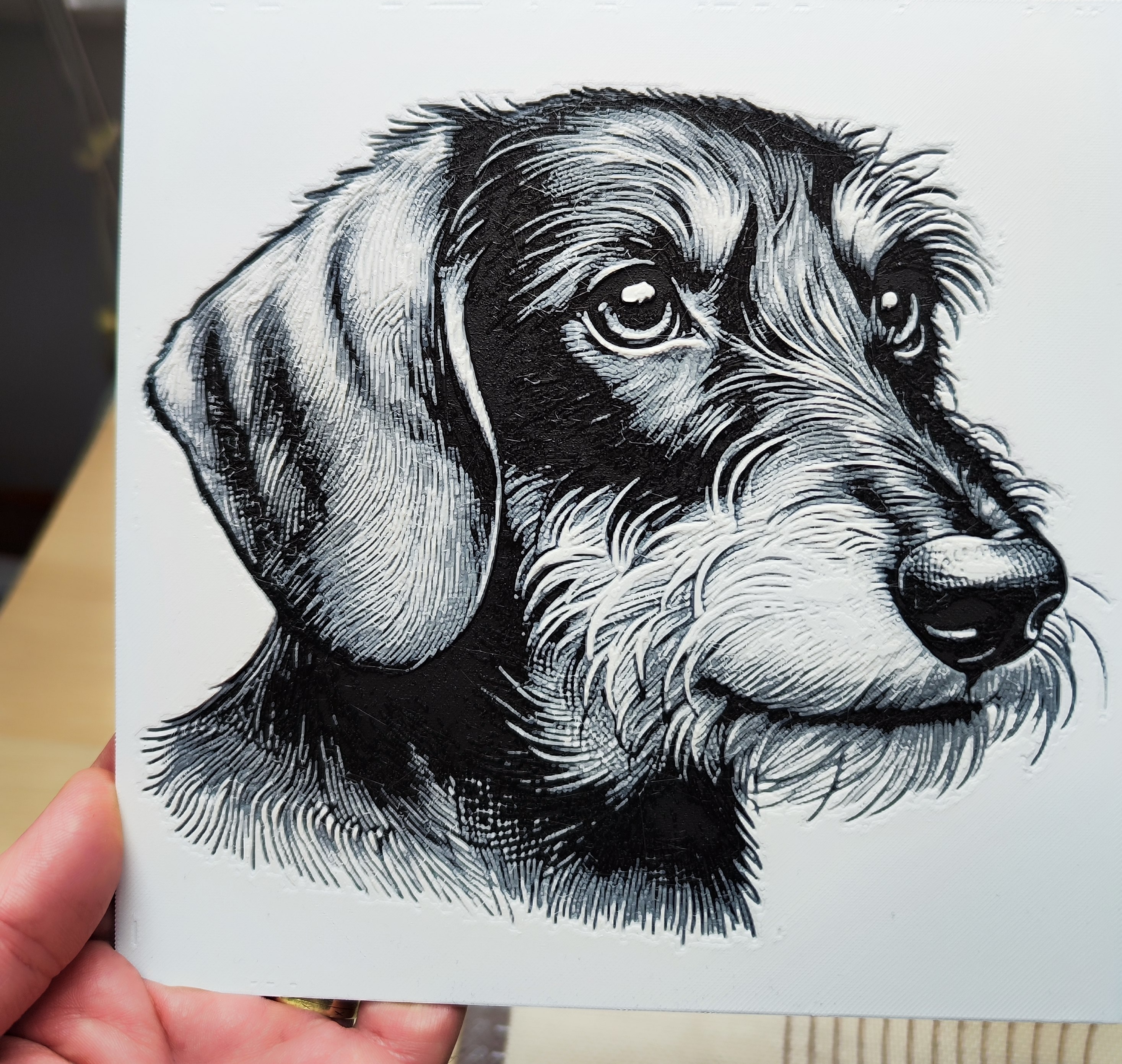 Dachshund HueForge