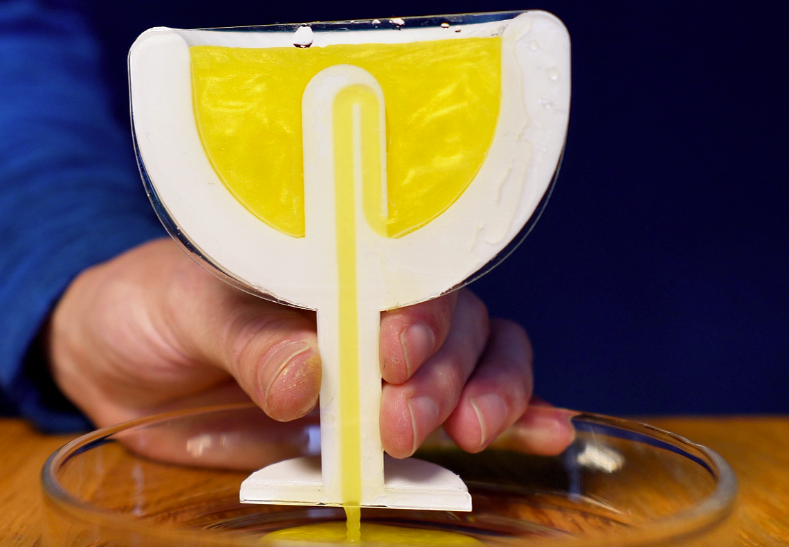 3D Cut-In-Half Pythagoras Cup
