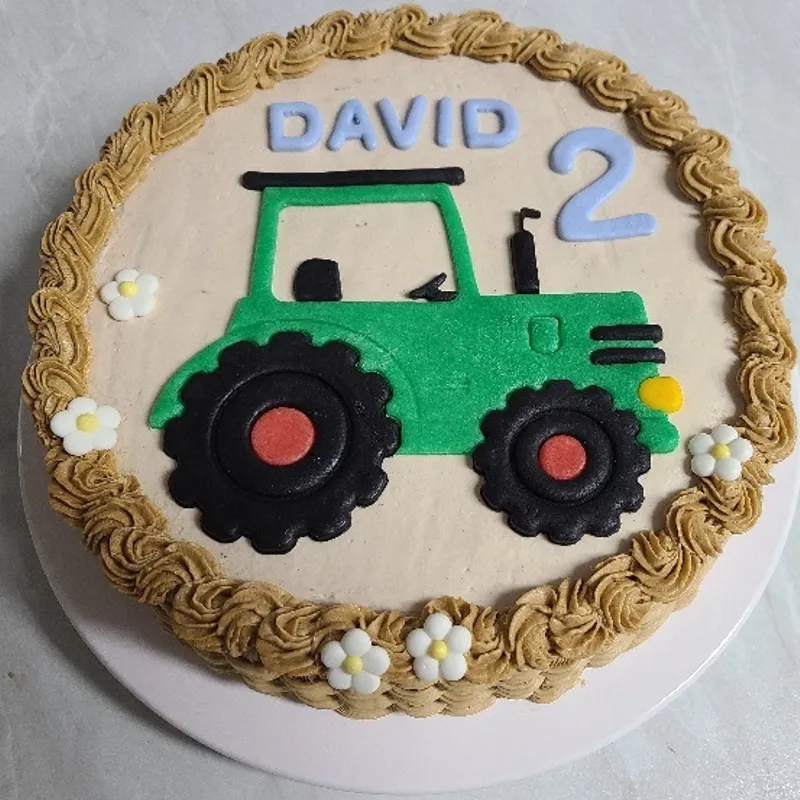 Farm Cakes – Page 3 – Beautiful Birthday Cakes