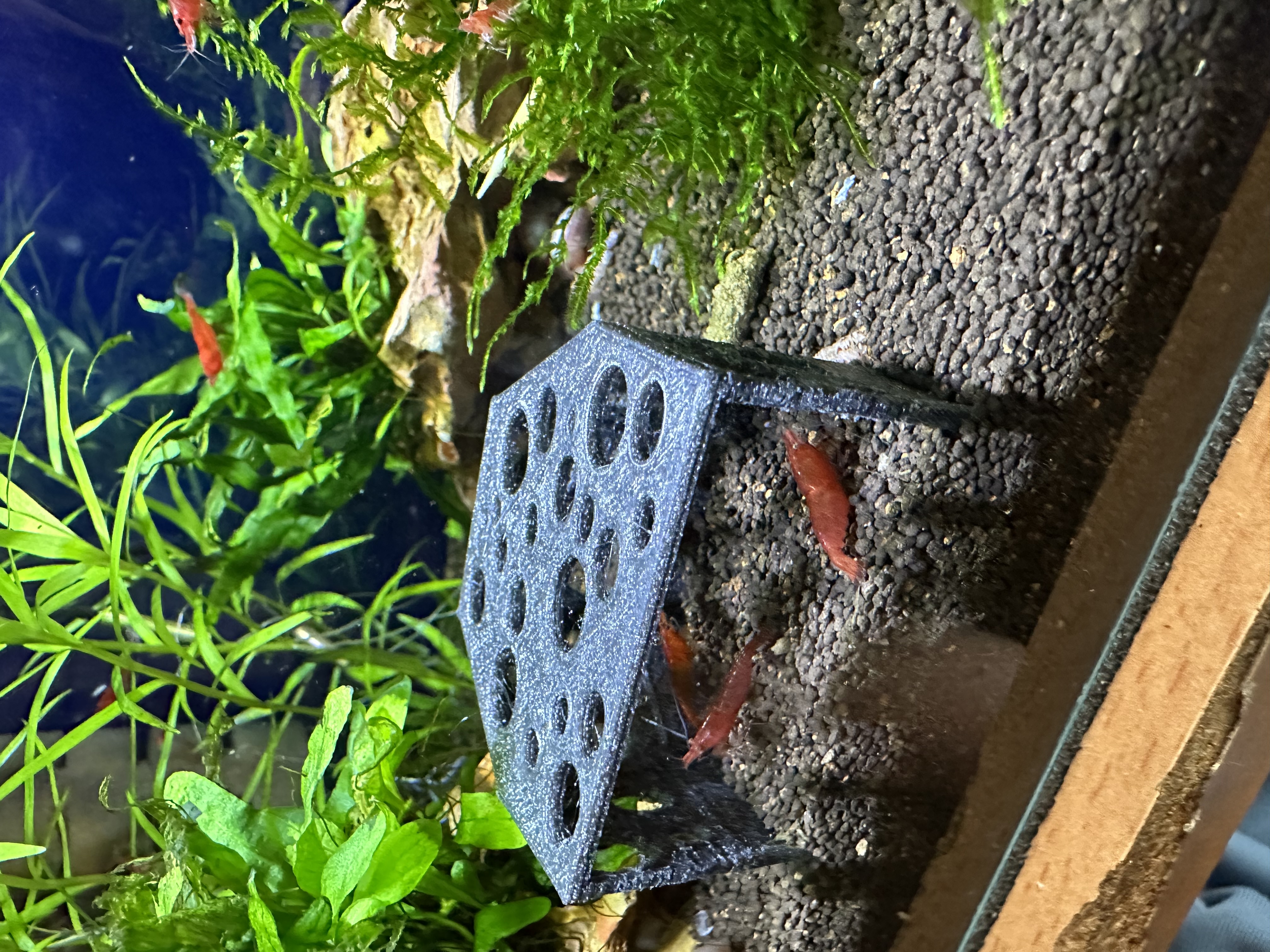 Aquarium shrimp, small fish cave, home, house, shelter