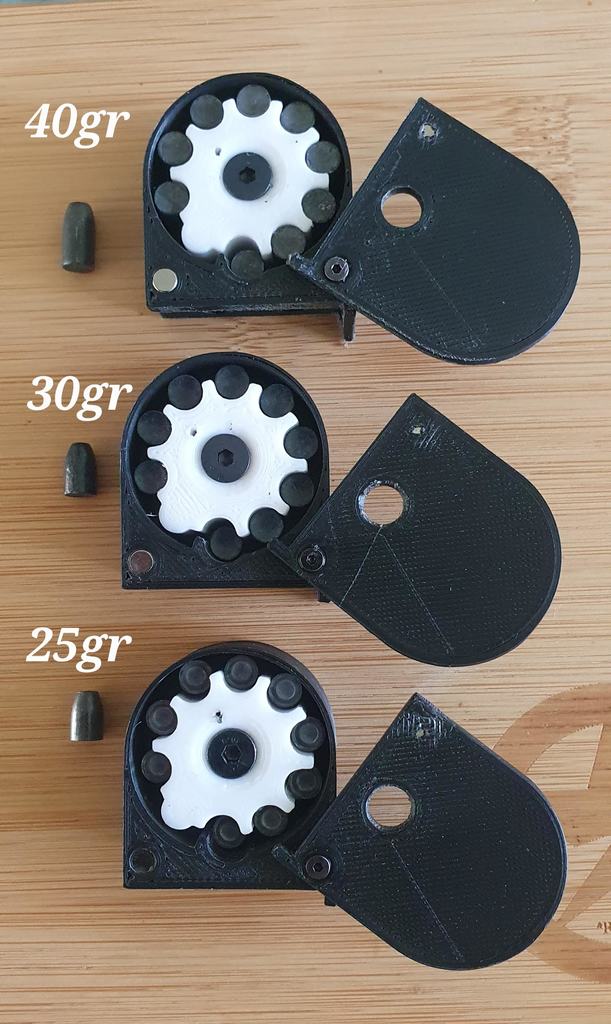 Daystate Air Ranger .22 Auto Rotation Mag 40gr,30gr,25gr Zan slug
