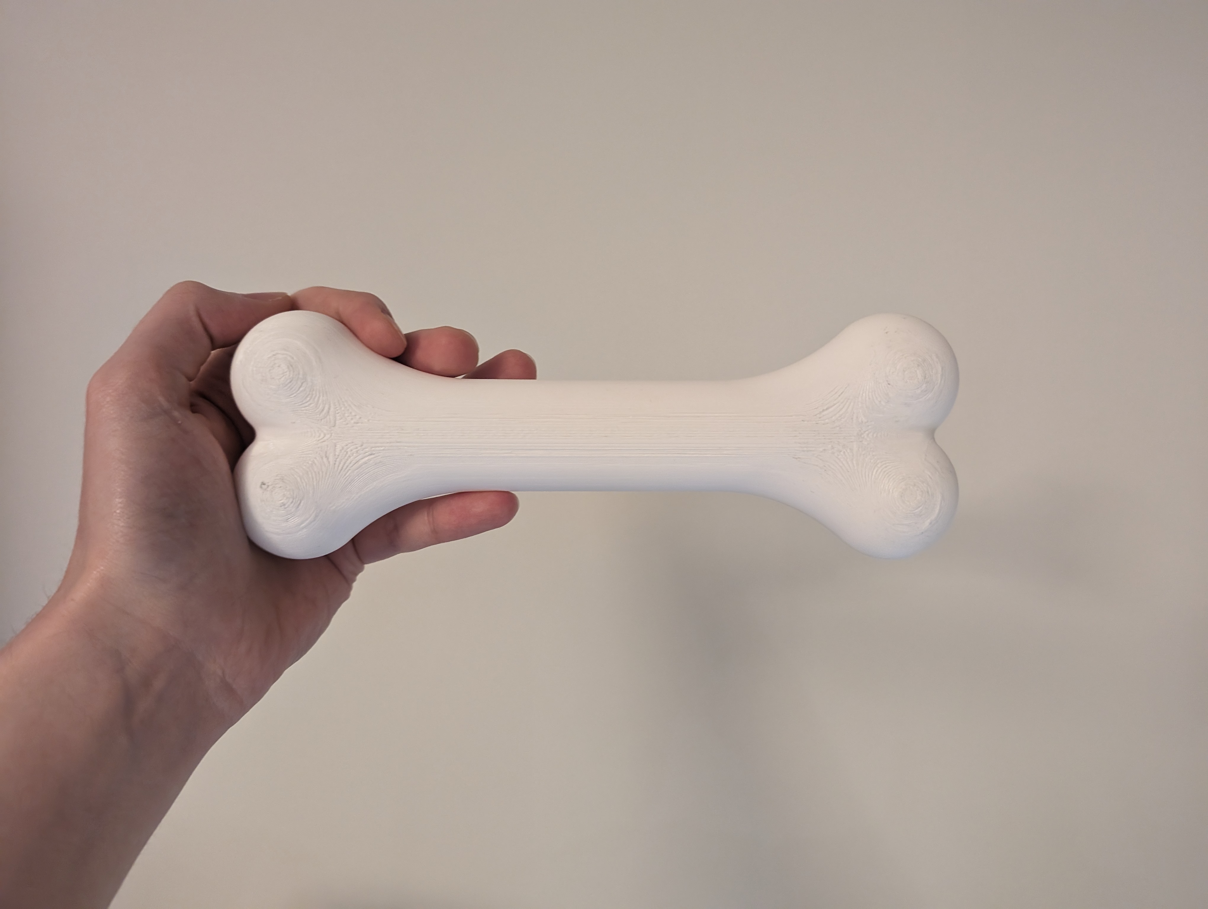 Simple Cartoon Bone