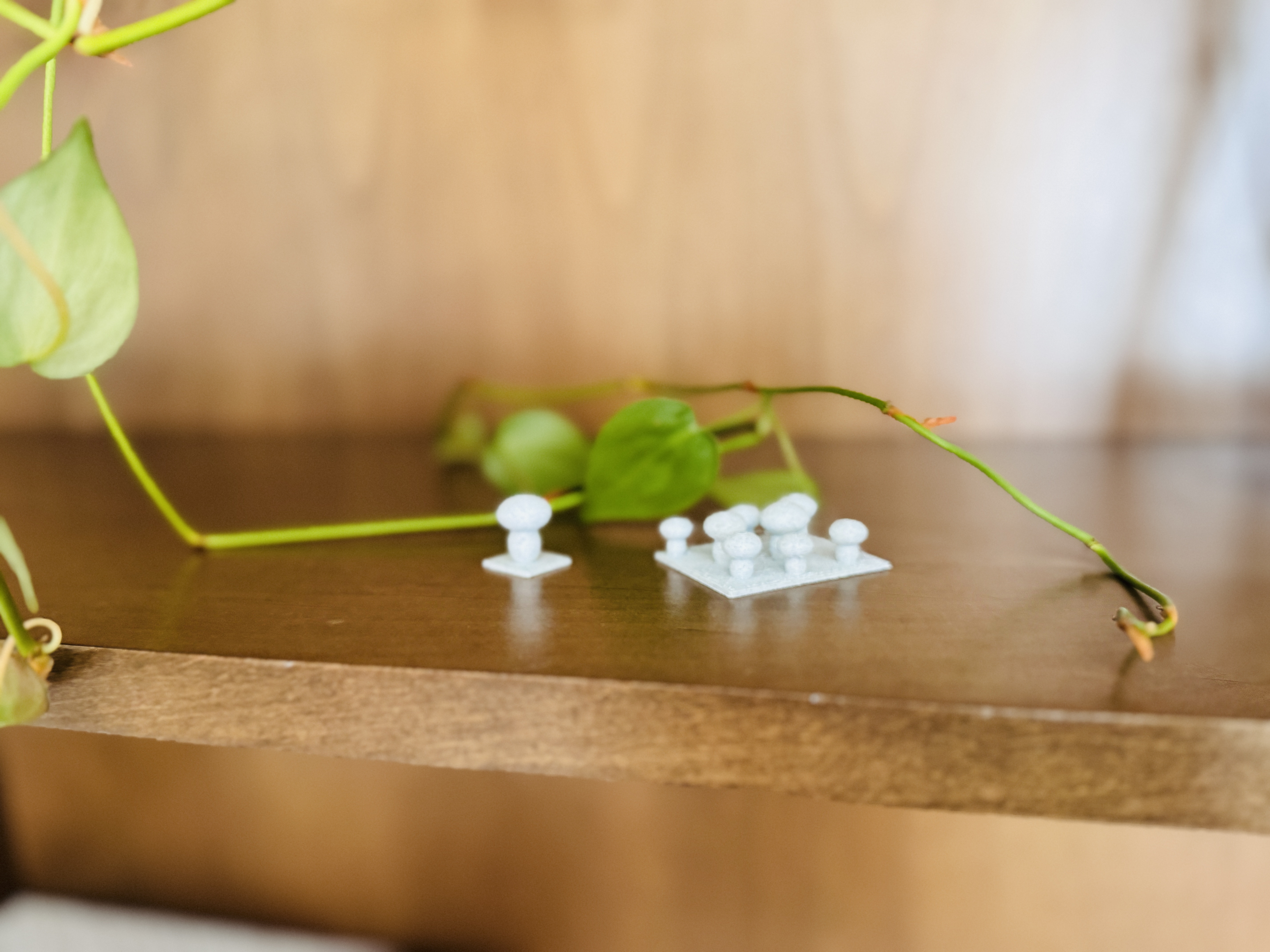 Mushrooms — miniatura 4
