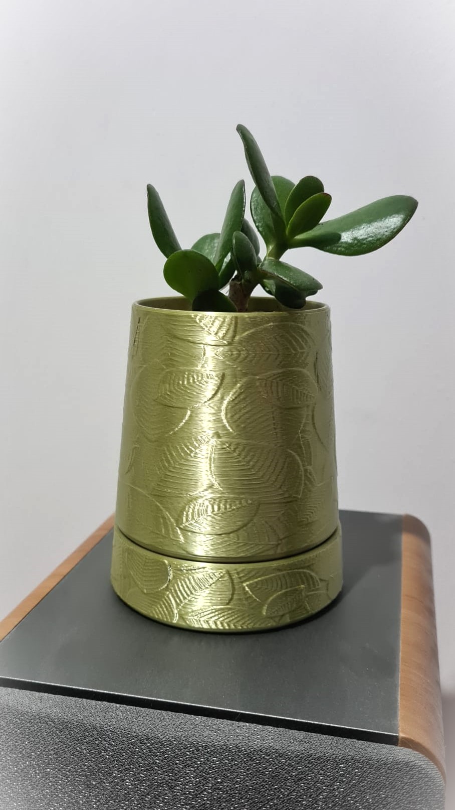Miniatura 2 do modelo 3D Leaf pattern flower pot & drip tray