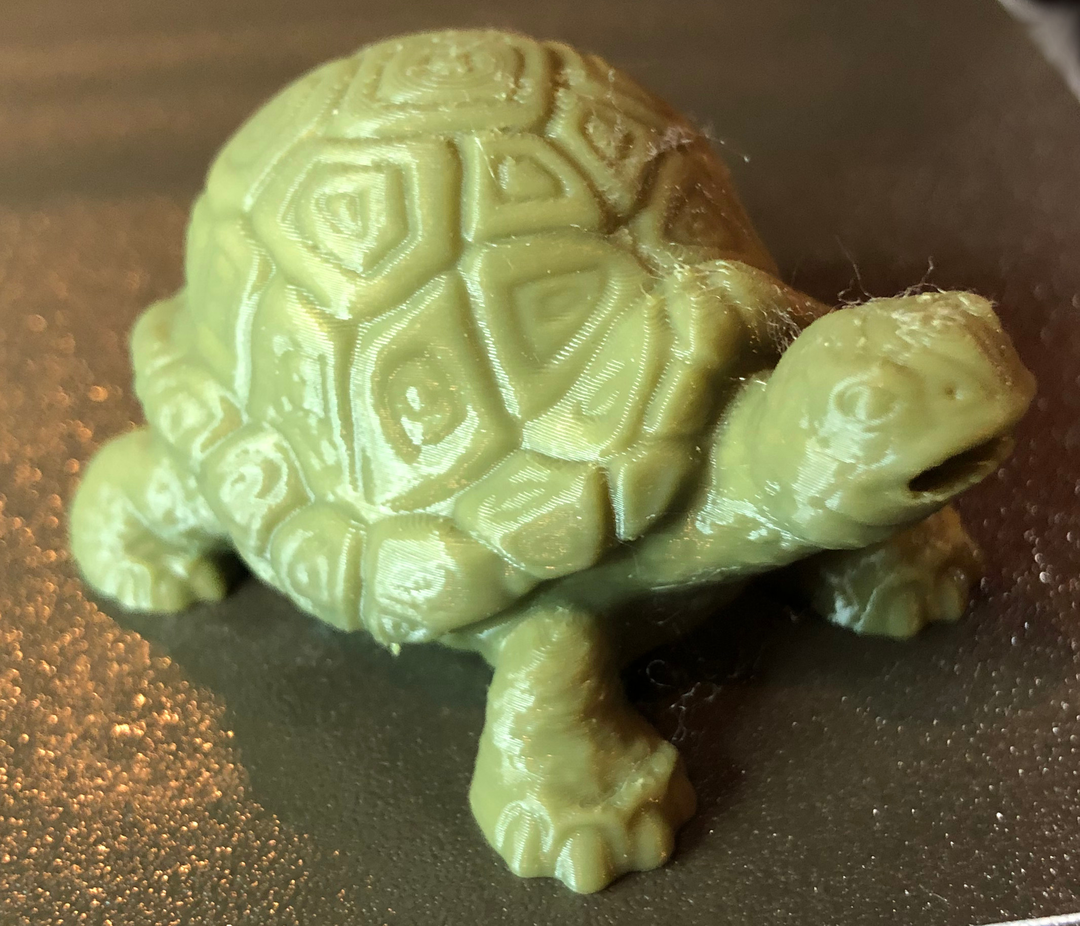 Turtle Whistle by tjsoco | Download free STL model | Printables.com