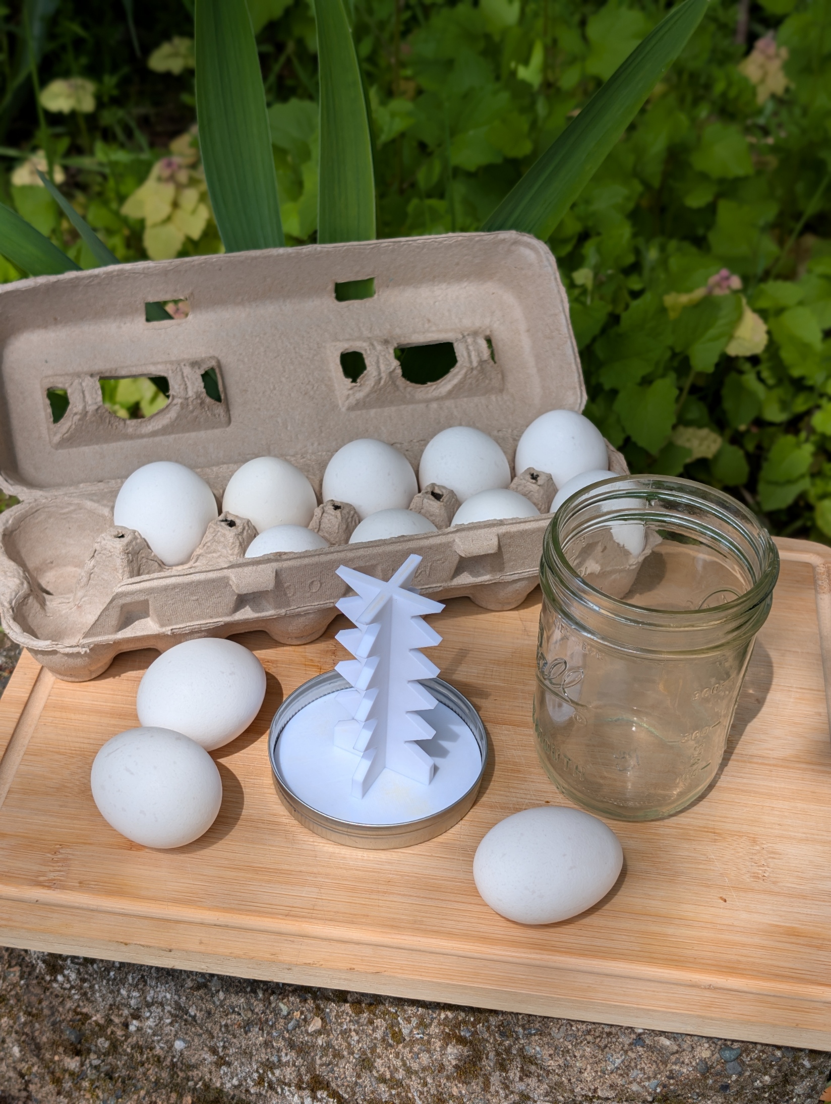 Champion Egg Scrambler 5000