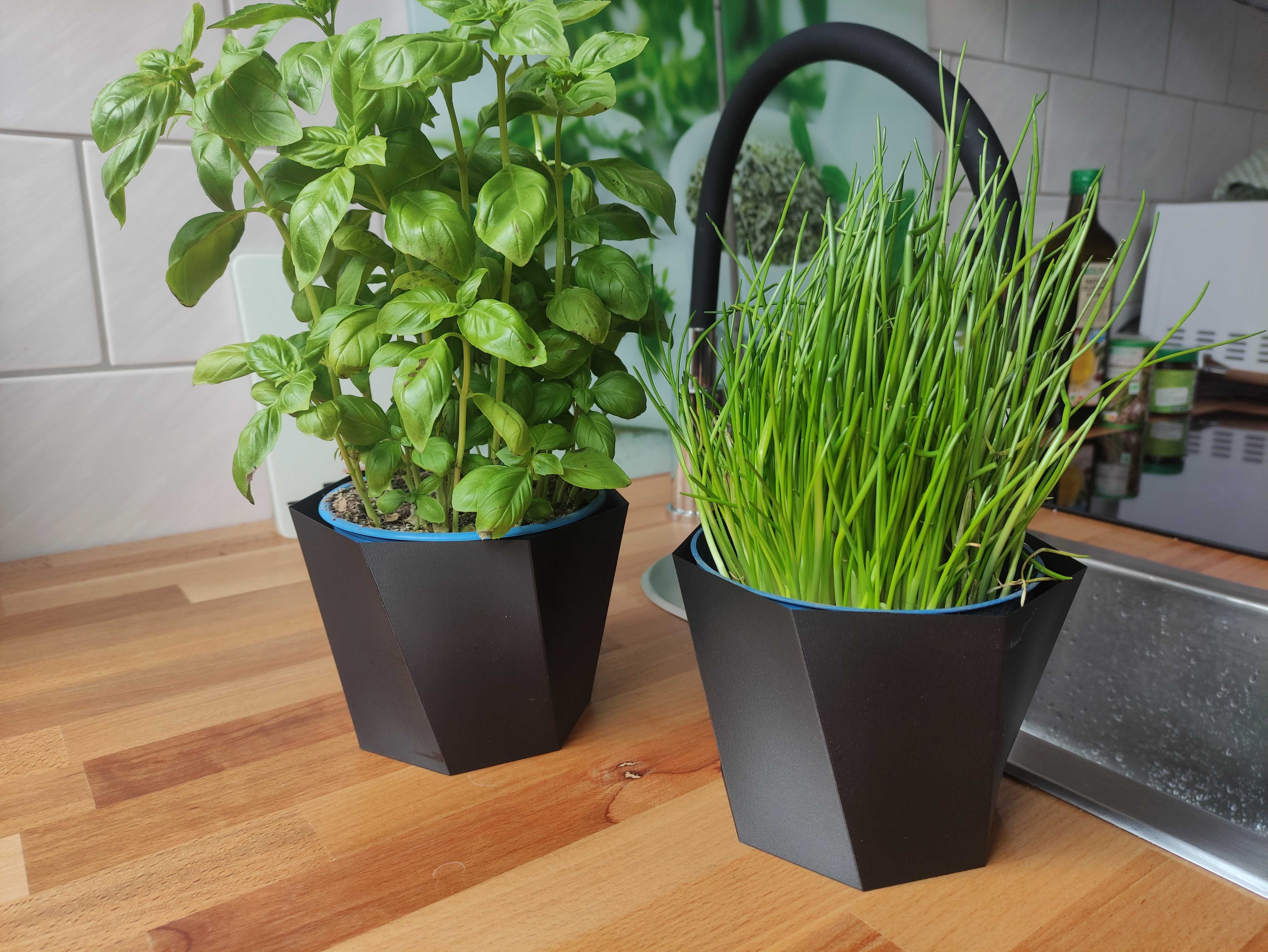Basic Plant Pot