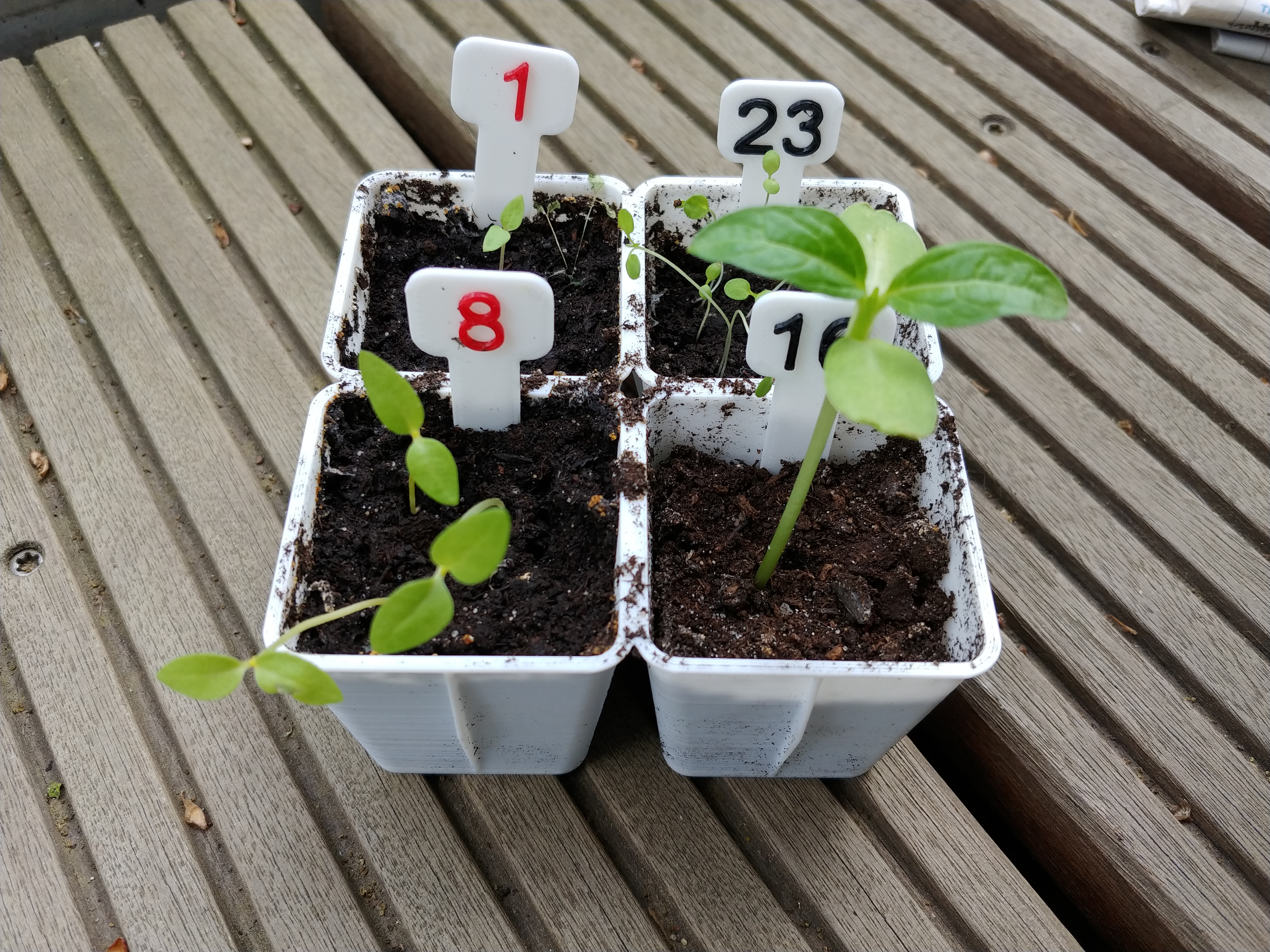 Anzuchttöpfe (1x1, 2x2, 3x2) mit nummerierten Schildern