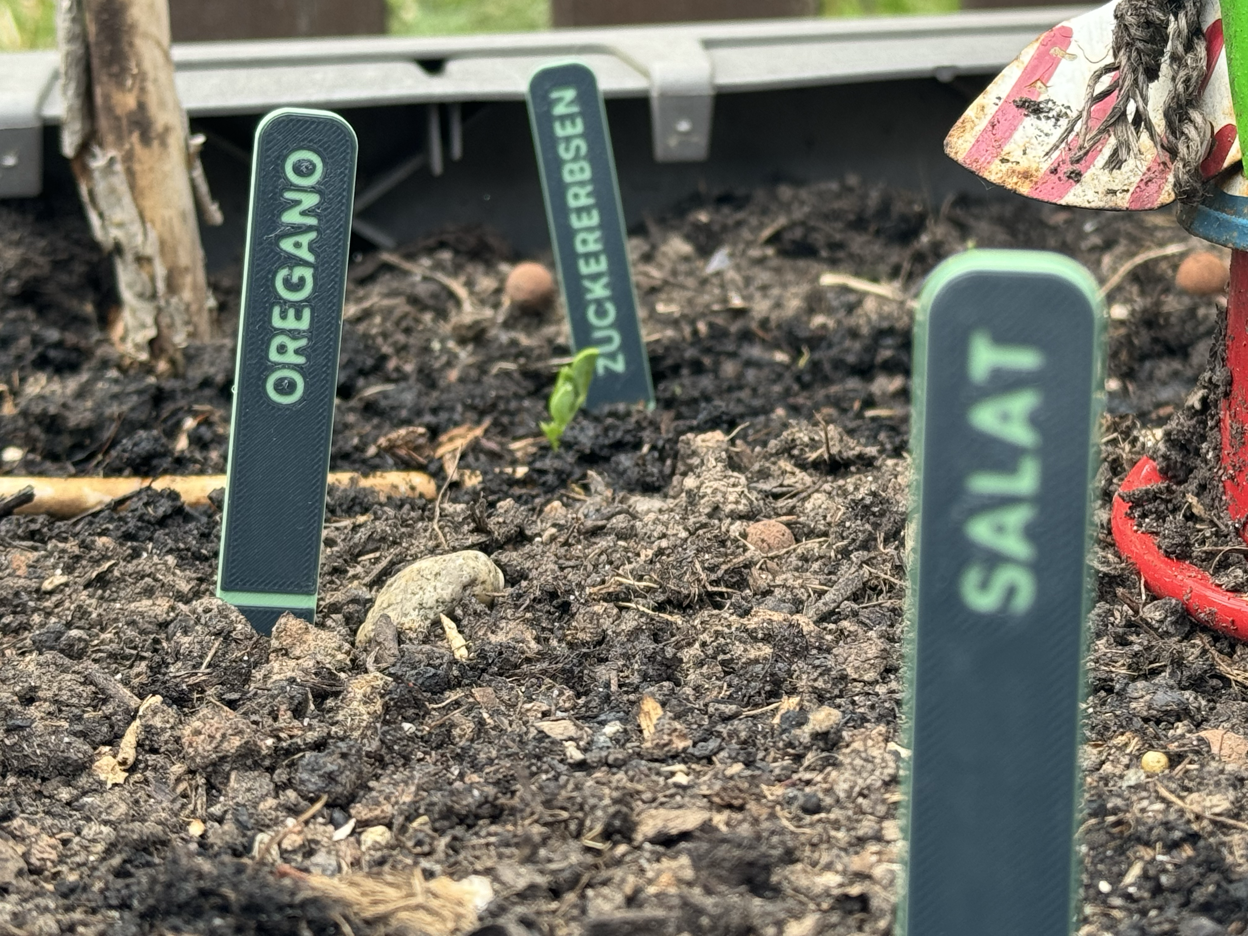 Plant Label (customizable)