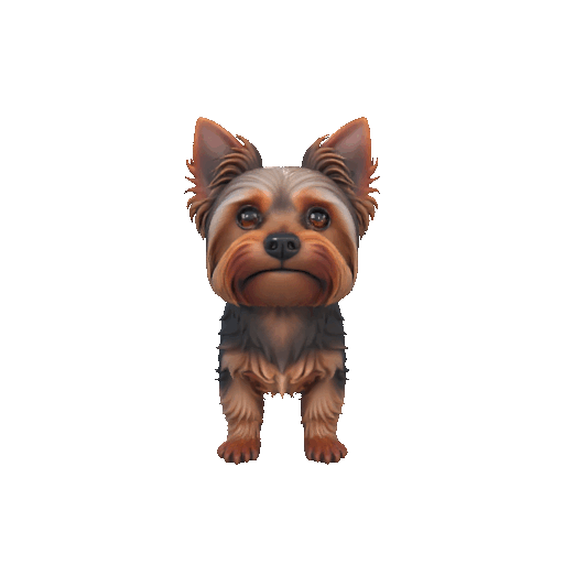 Yorkshire Terrier