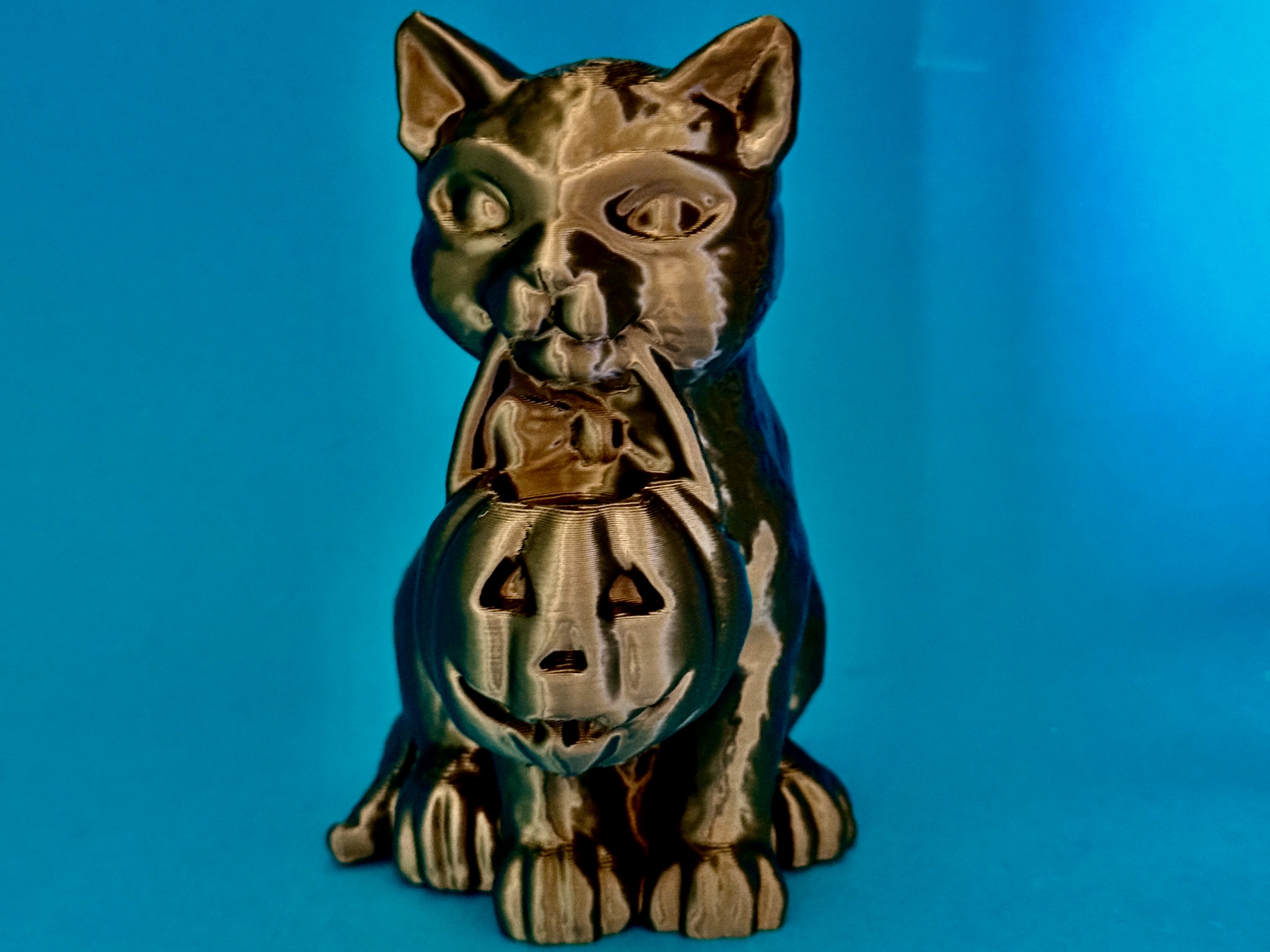 little halloween cat