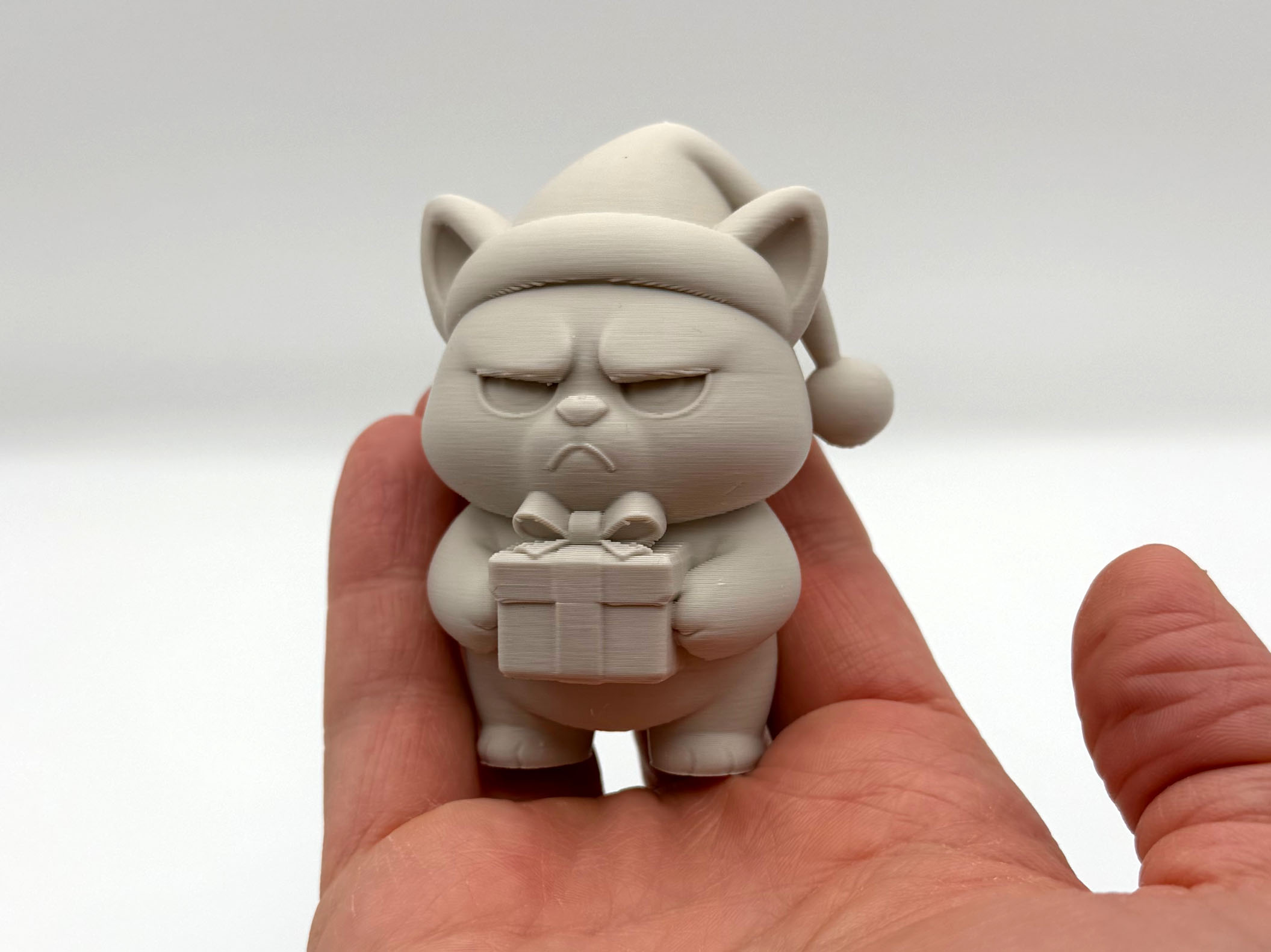 Grumpy Present Kitten