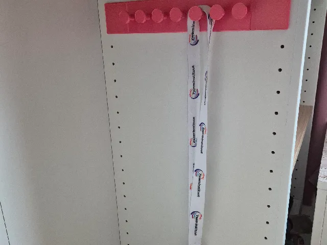 Ikea Pax Complement Wardrobe Organizer