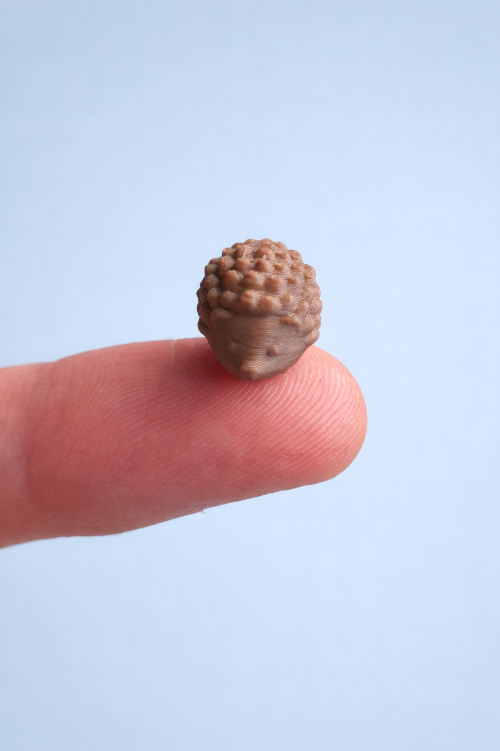 Mini Hedgehog Buddy