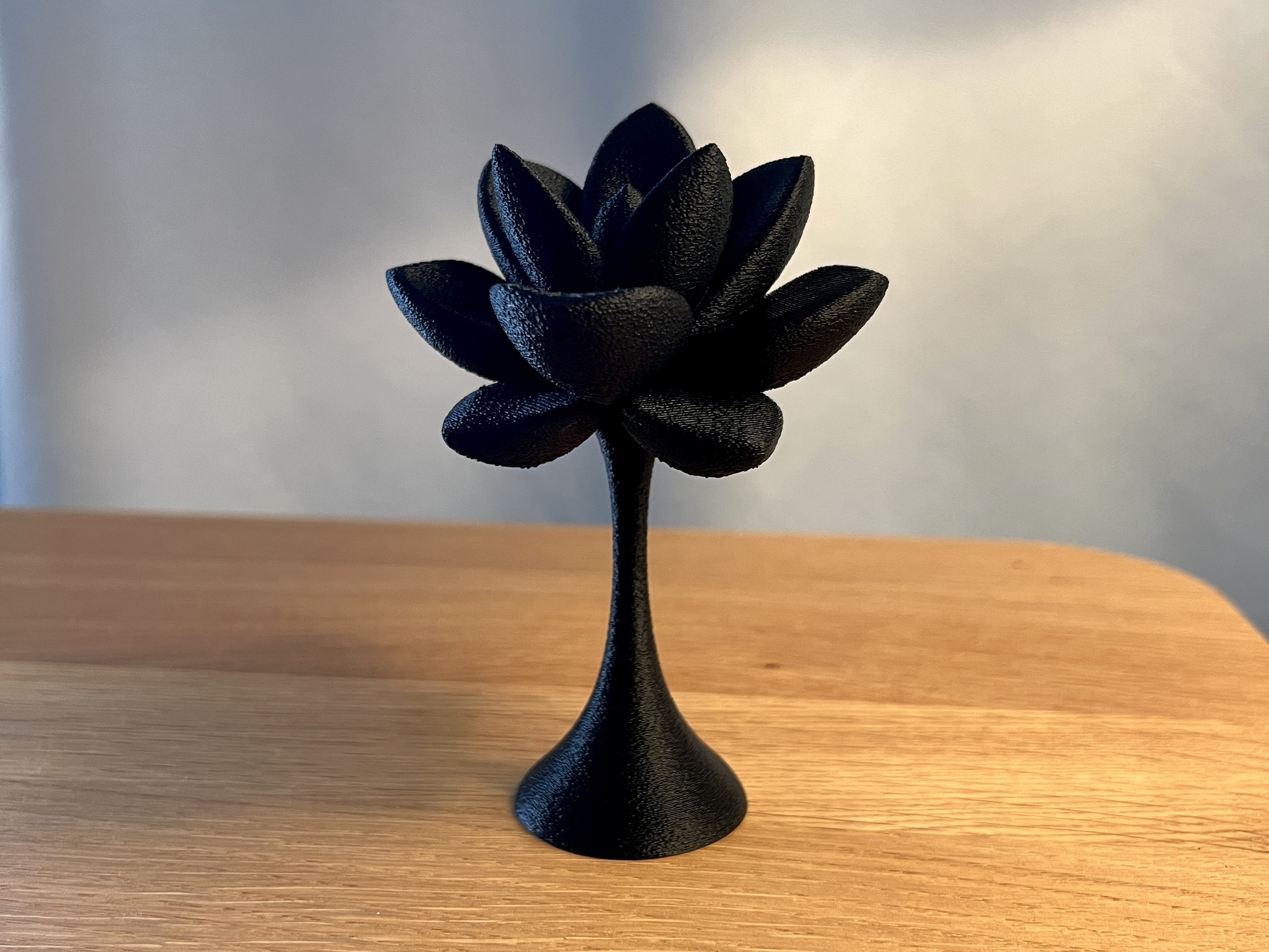 Succulent Decor 1