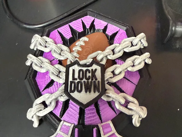 Lock Down Plaque/ Trophy